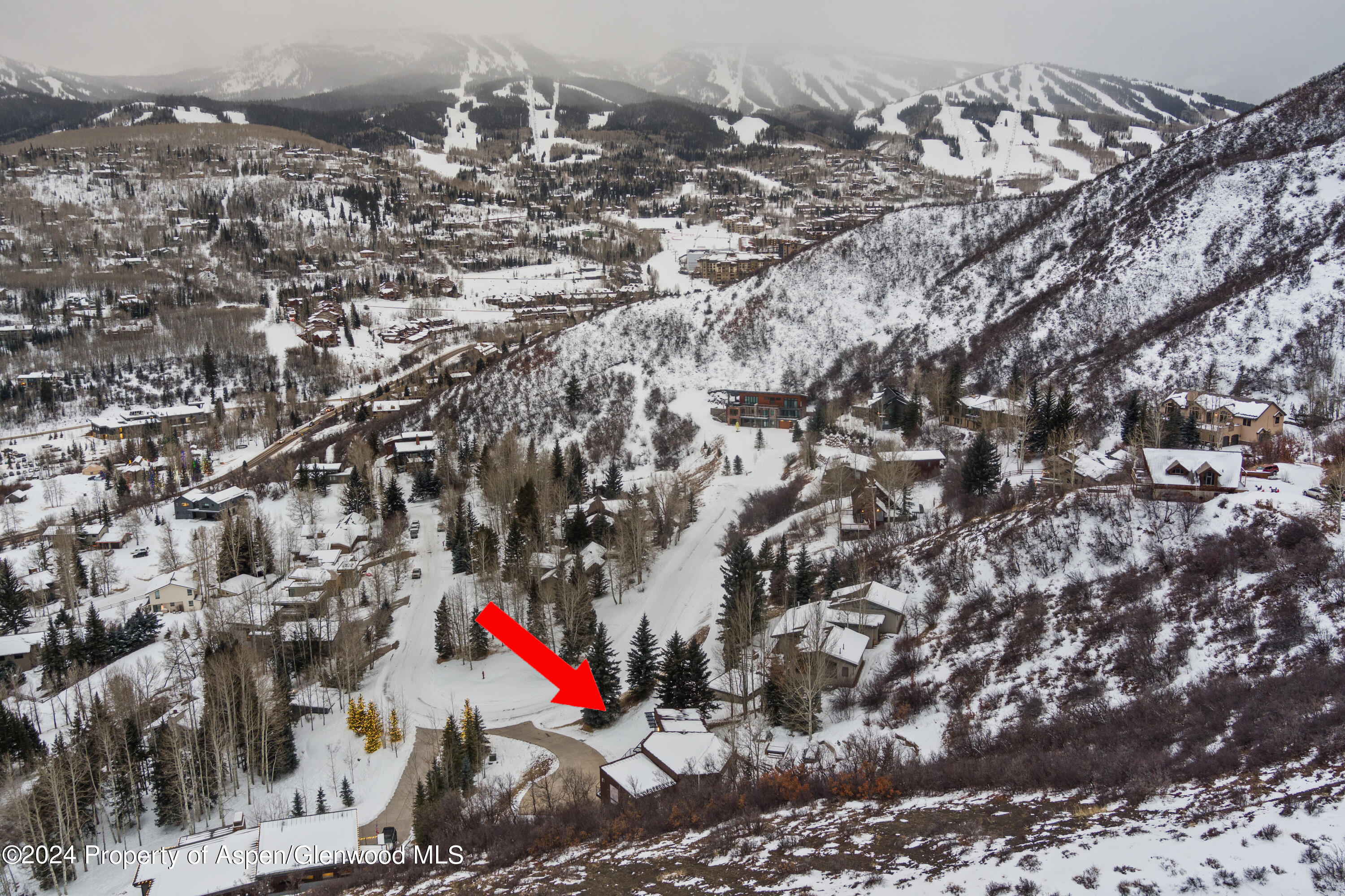 365 Terrace Drive Snowmass Village CO 81615