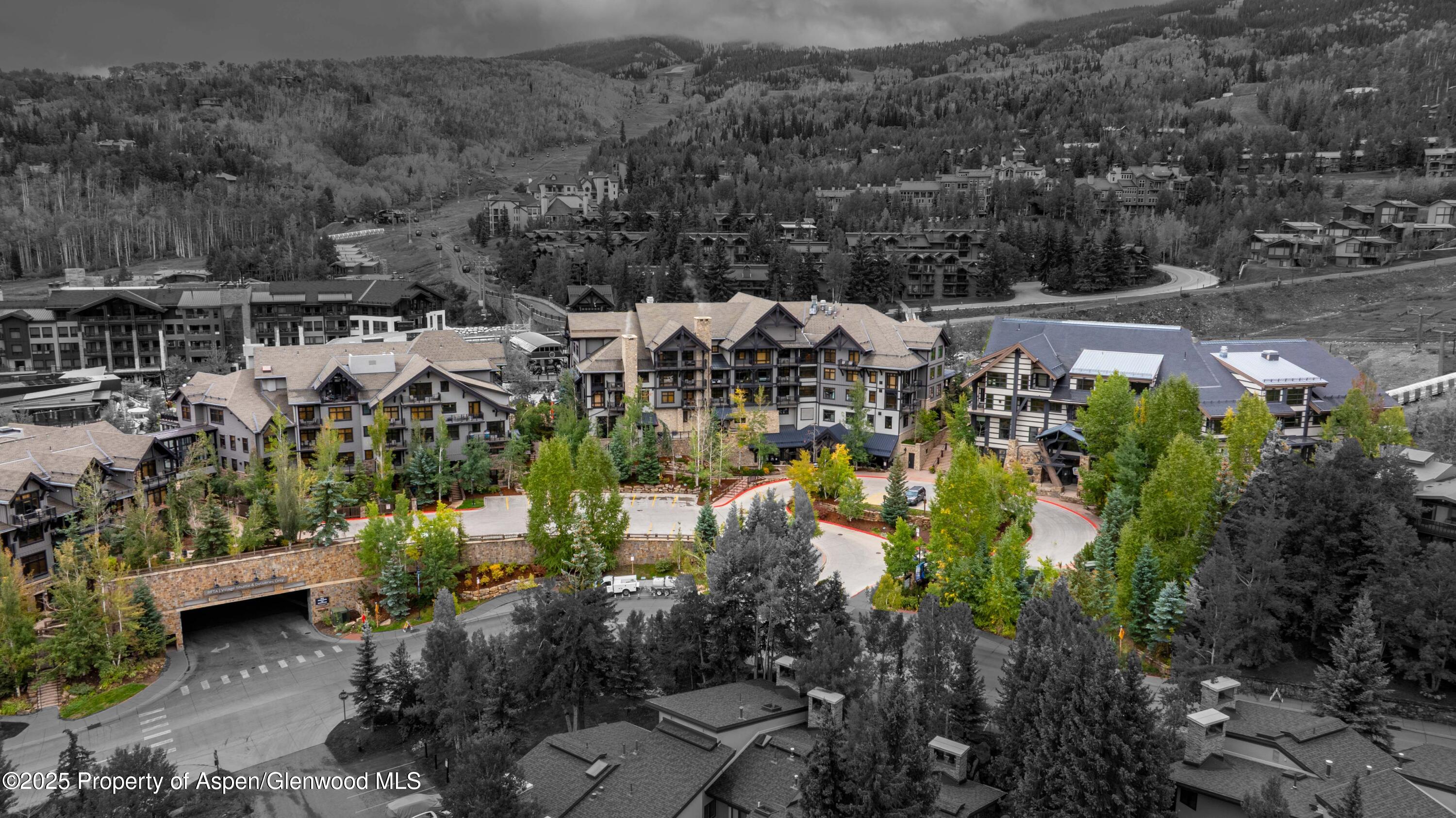 110 Carriage Way Snowmass Village CO 81615