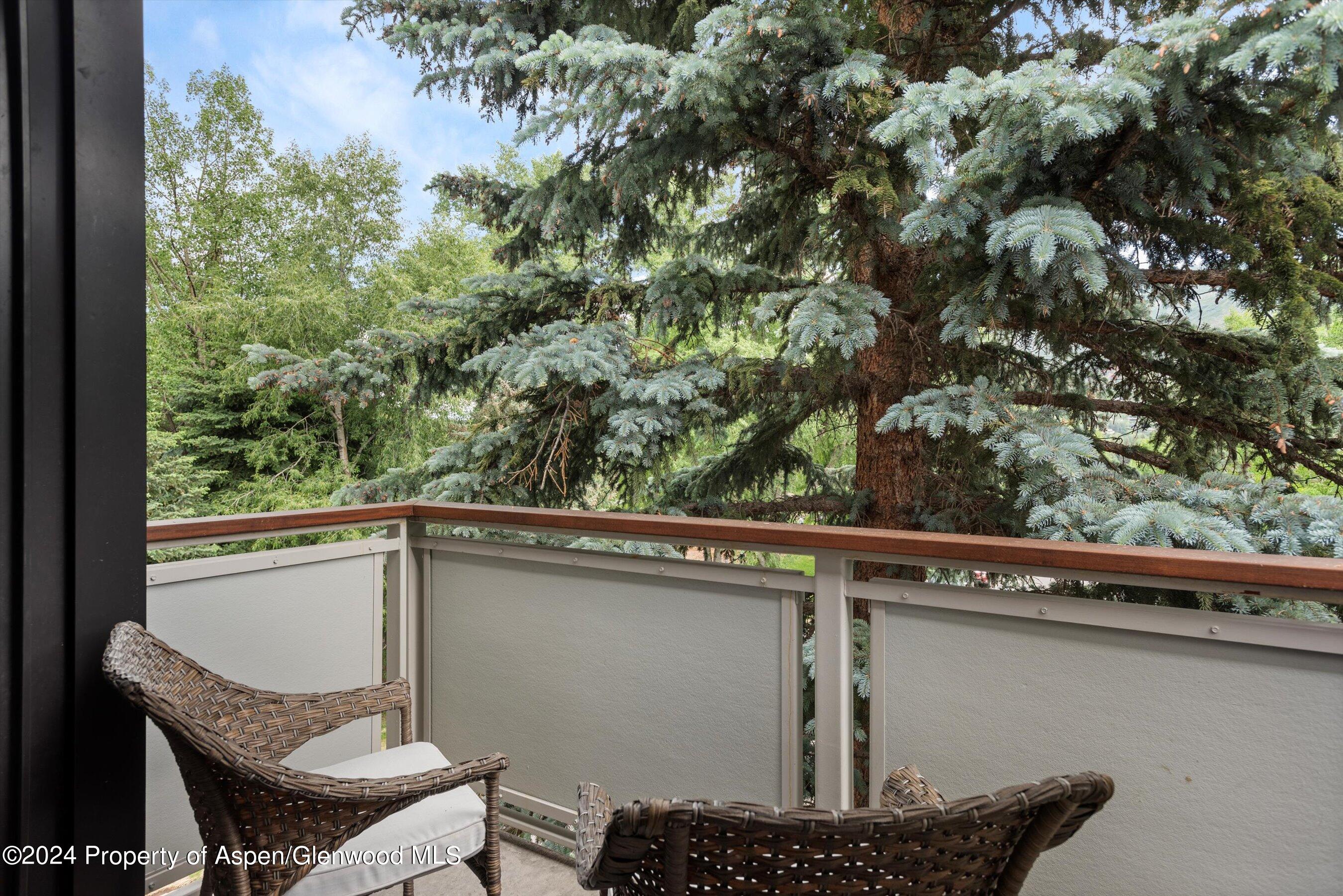 100 E Dean Street Aspen CO 81611