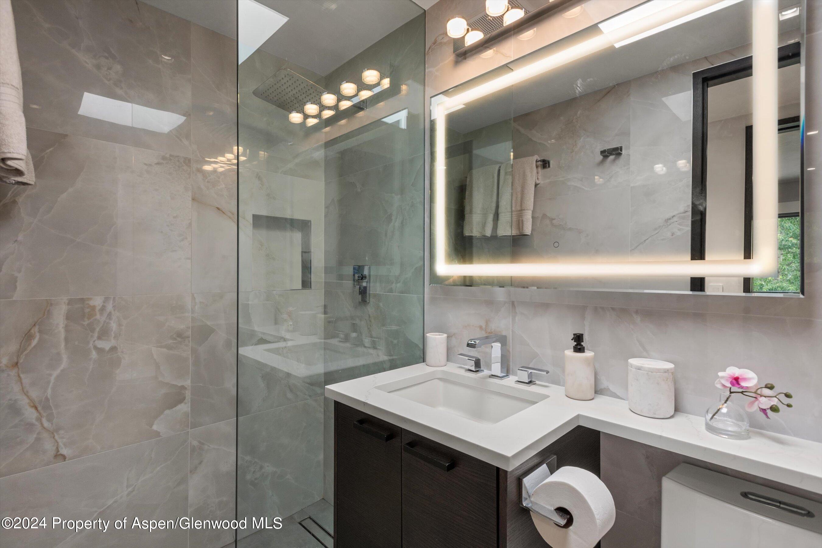 100 E Dean Street Aspen CO 81611