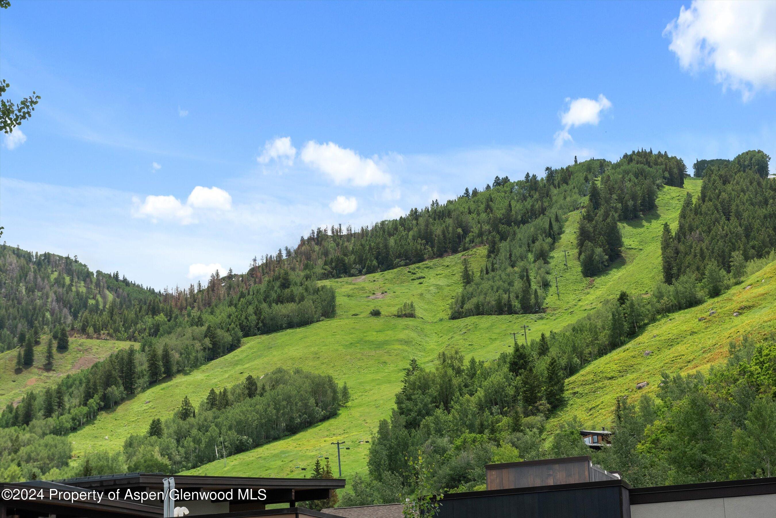 100 E Dean Street Aspen CO 81611