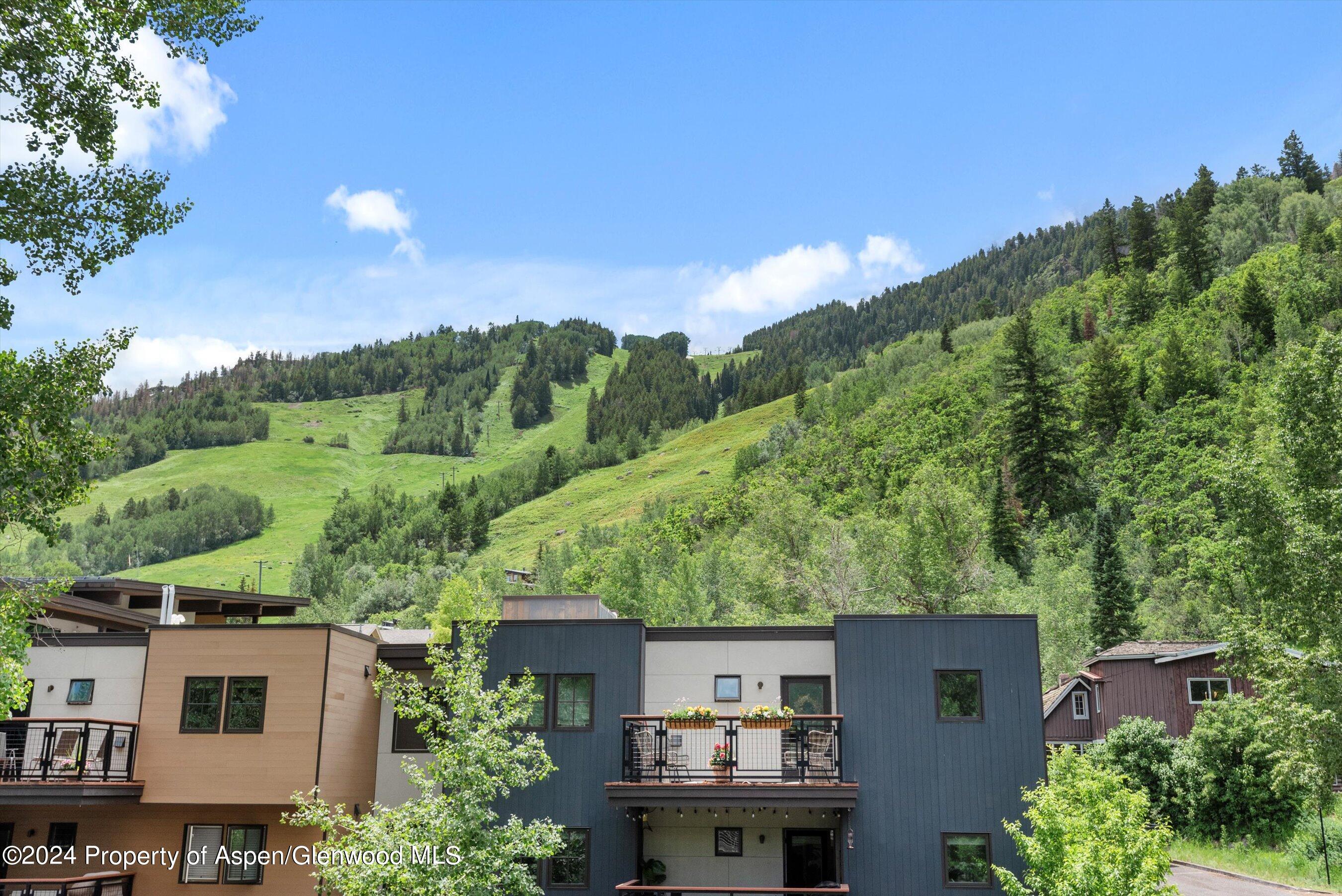 100 E Dean Street Aspen CO 81611