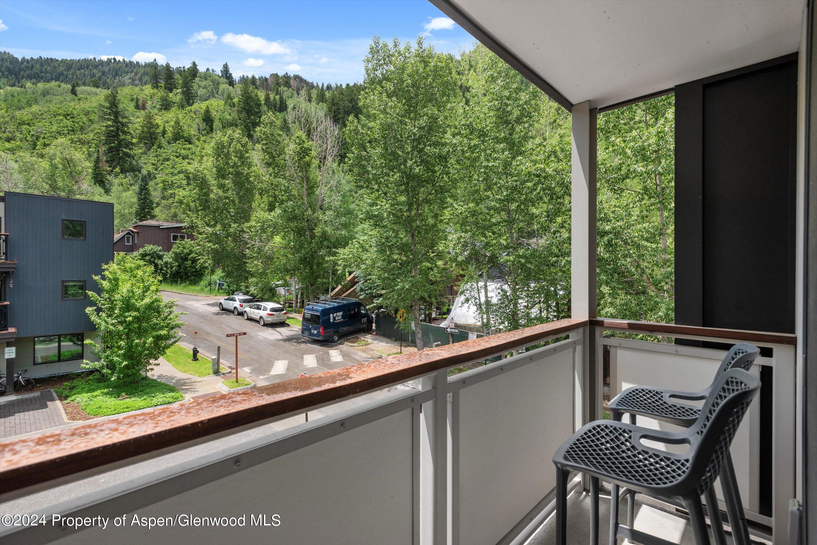 100 E Dean Street Aspen CO 81611