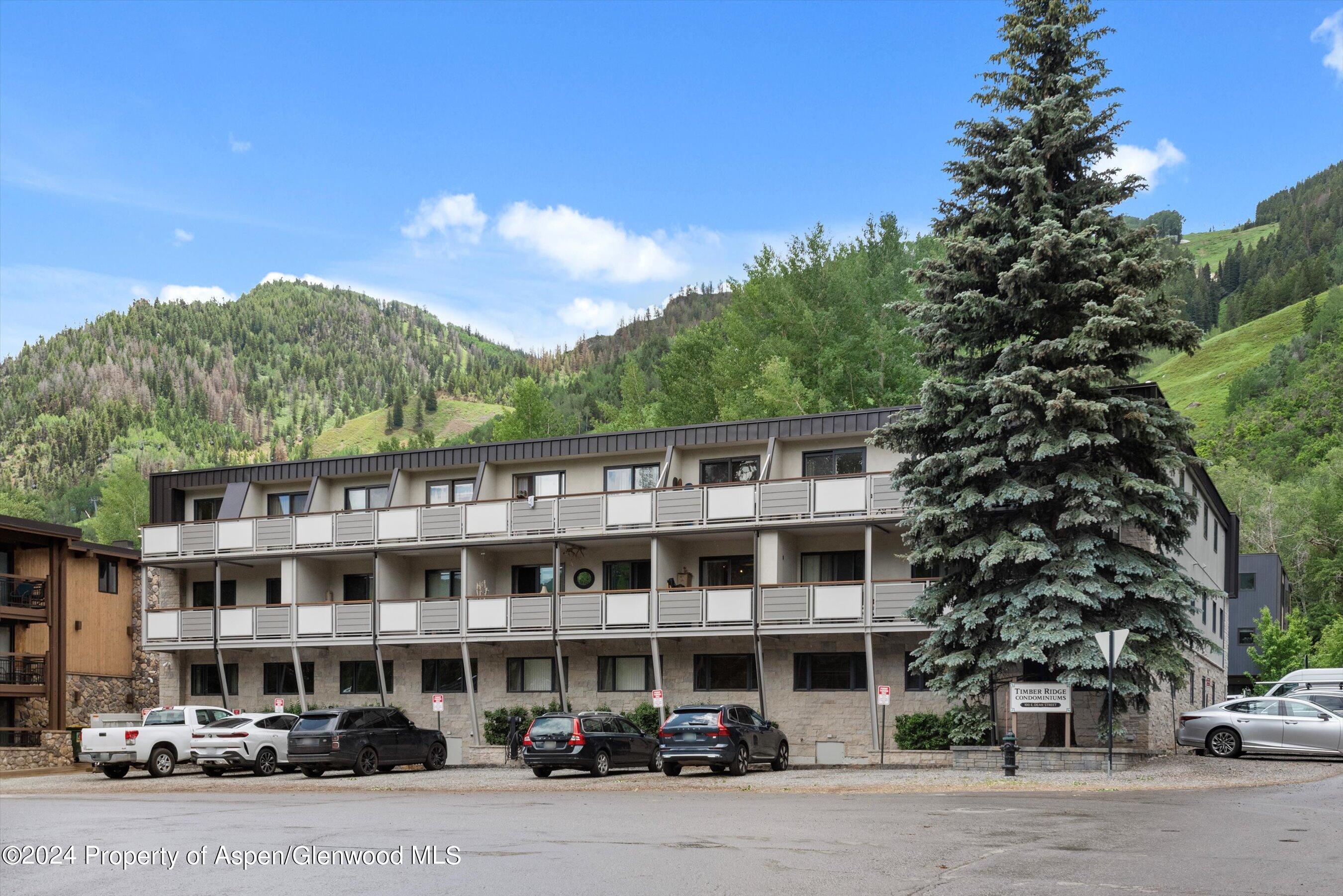 100 E Dean Street Aspen CO 81611