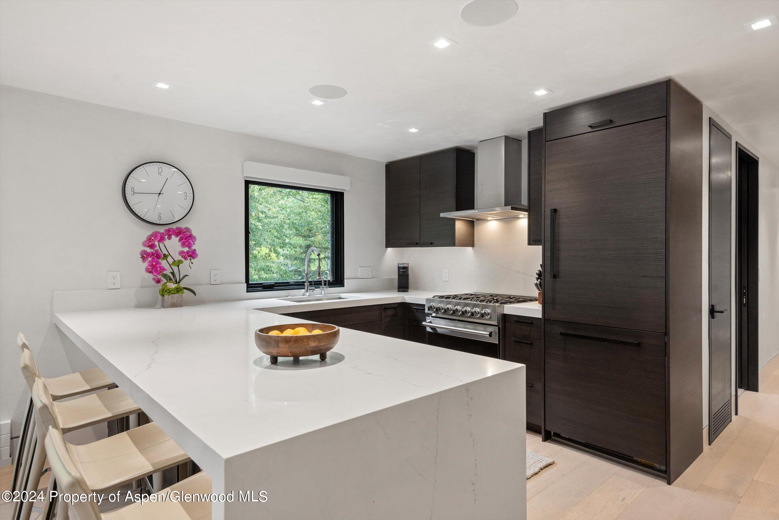 100 E Dean Street Aspen CO 81611