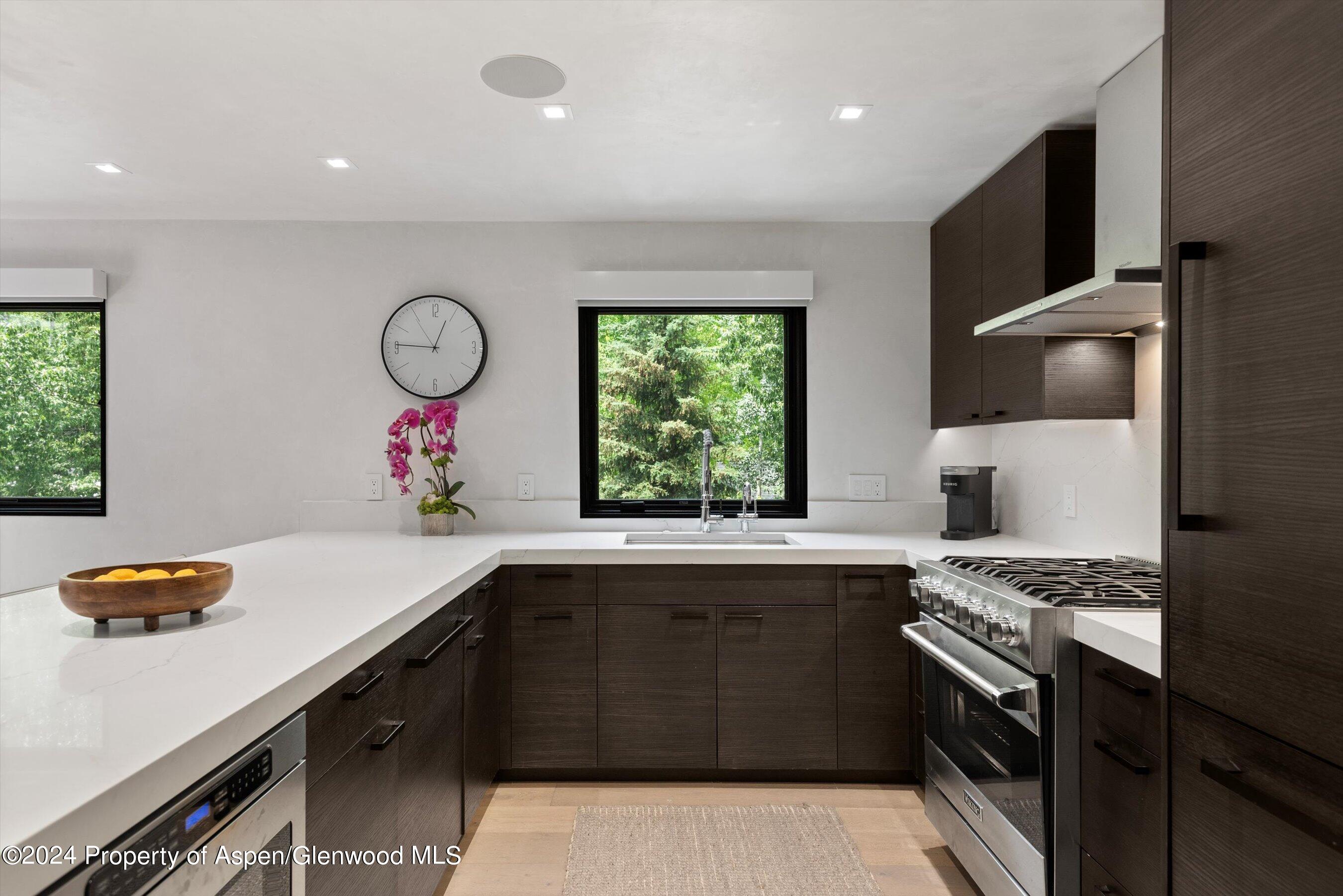 100 E Dean Street Aspen CO 81611