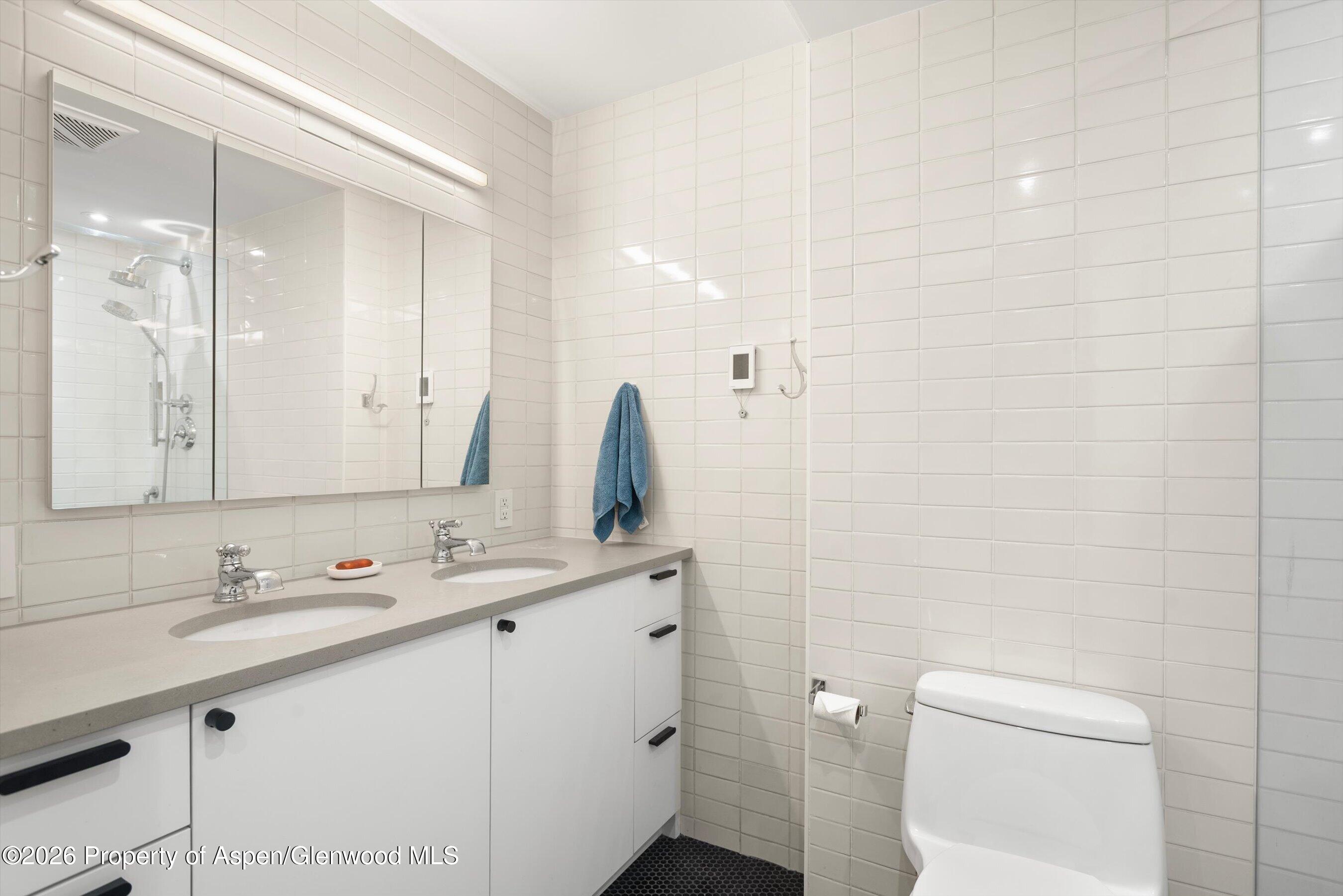 416 Vine Street Aspen CO 81611