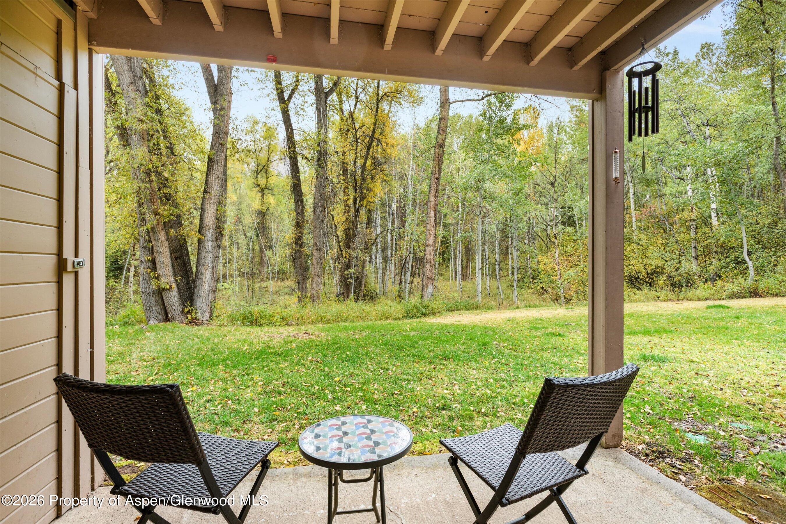 416 Vine Street Aspen CO 81611
