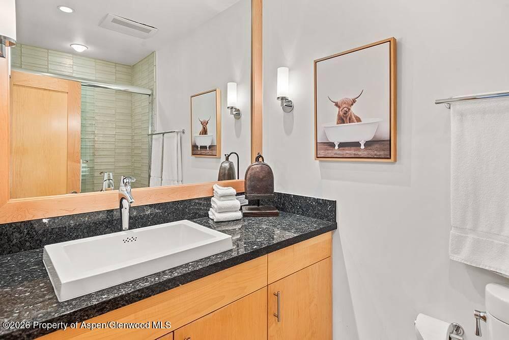 625 S West End Street Aspen CO 81611