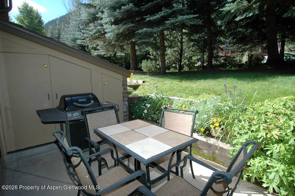 625 S West End Street Aspen CO 81611