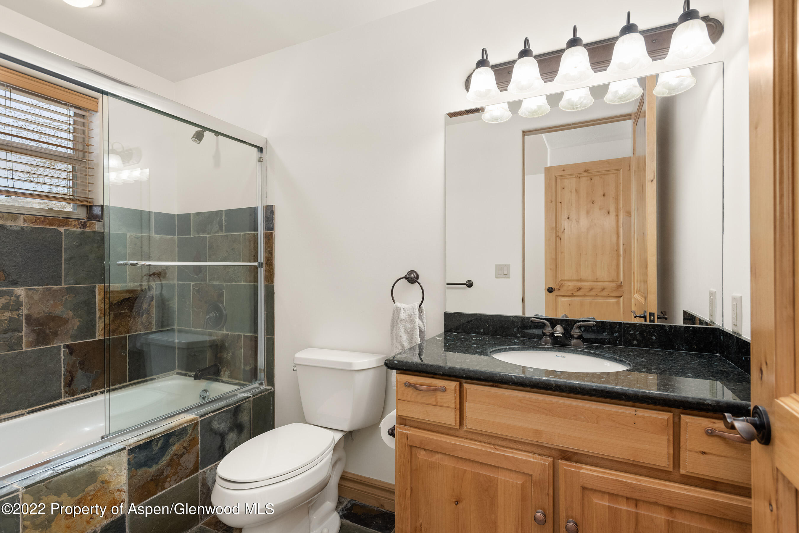 211 Juniper Court Basalt CO 81621