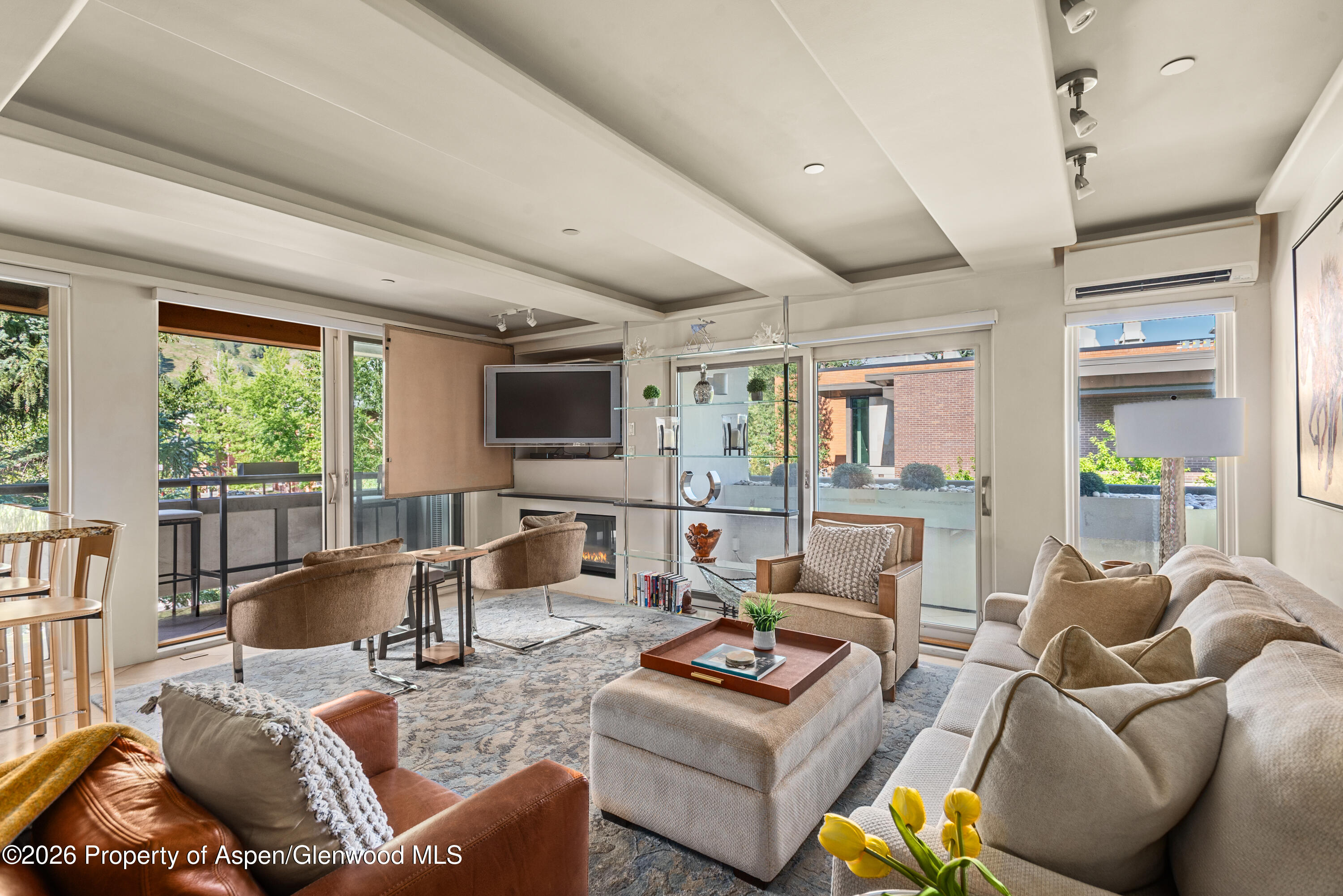 Aspen CO, 600 E Main Street, Unit 301
