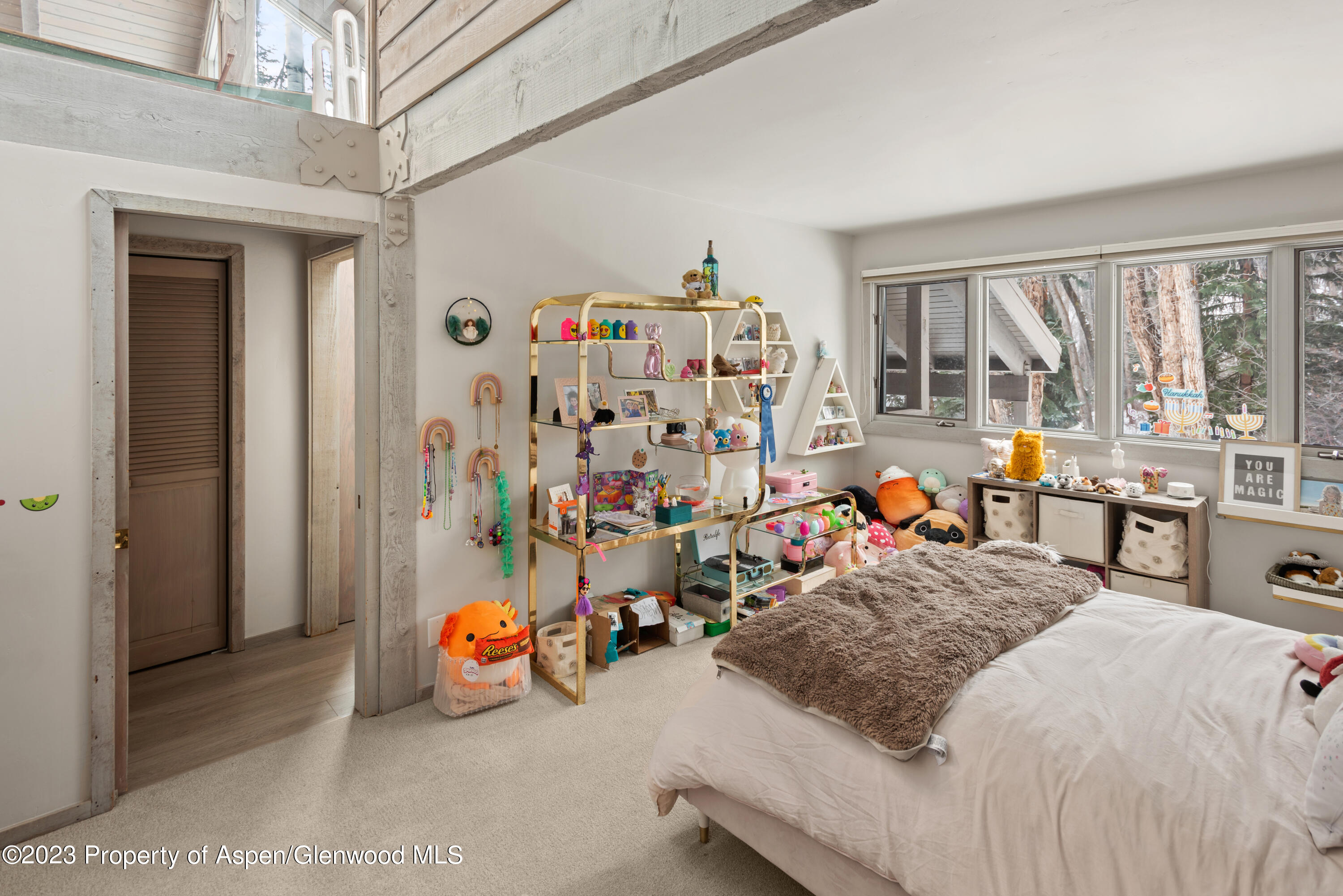 645 Sneaky Lane Aspen CO 81611