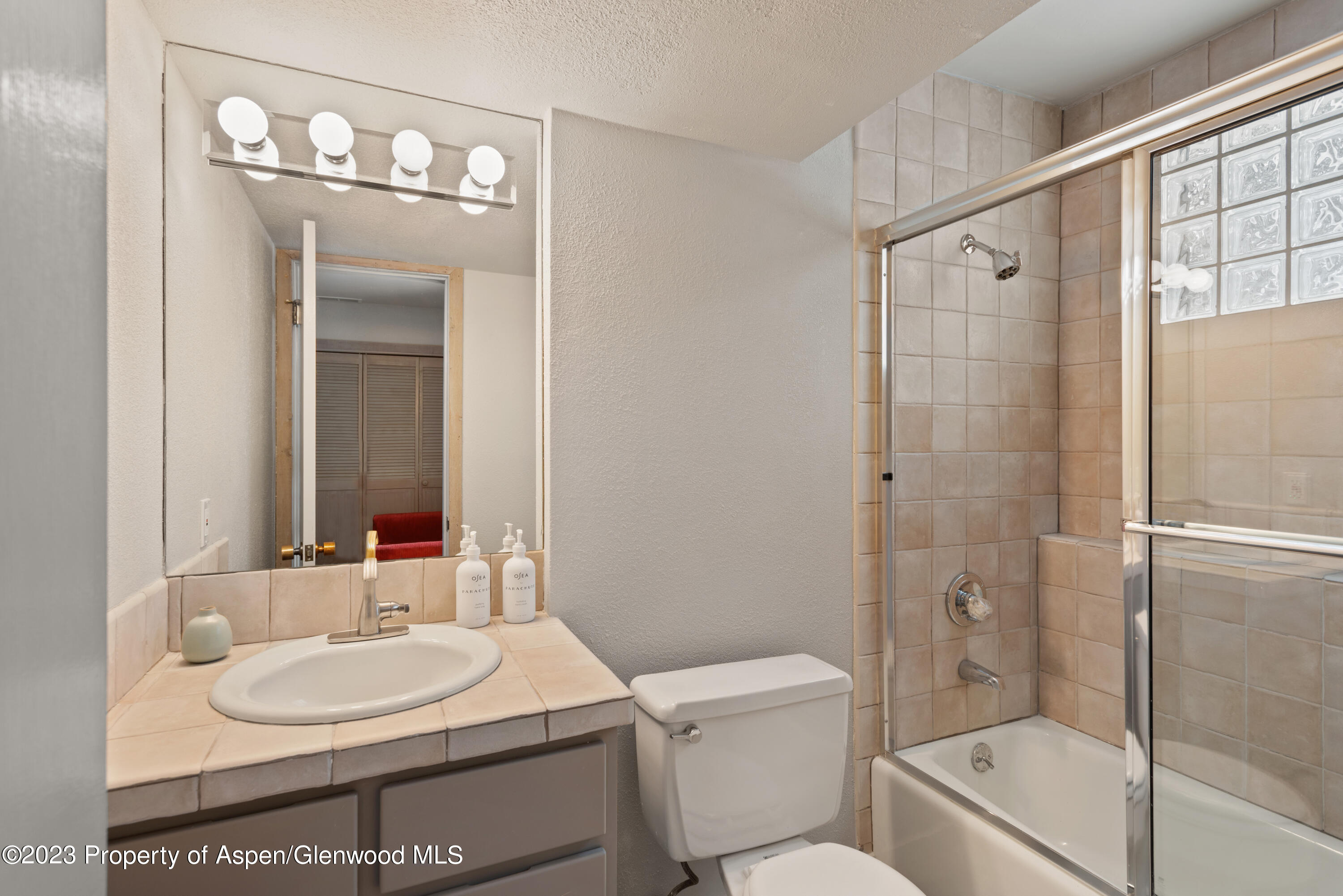 645 Sneaky Lane Aspen CO 81611