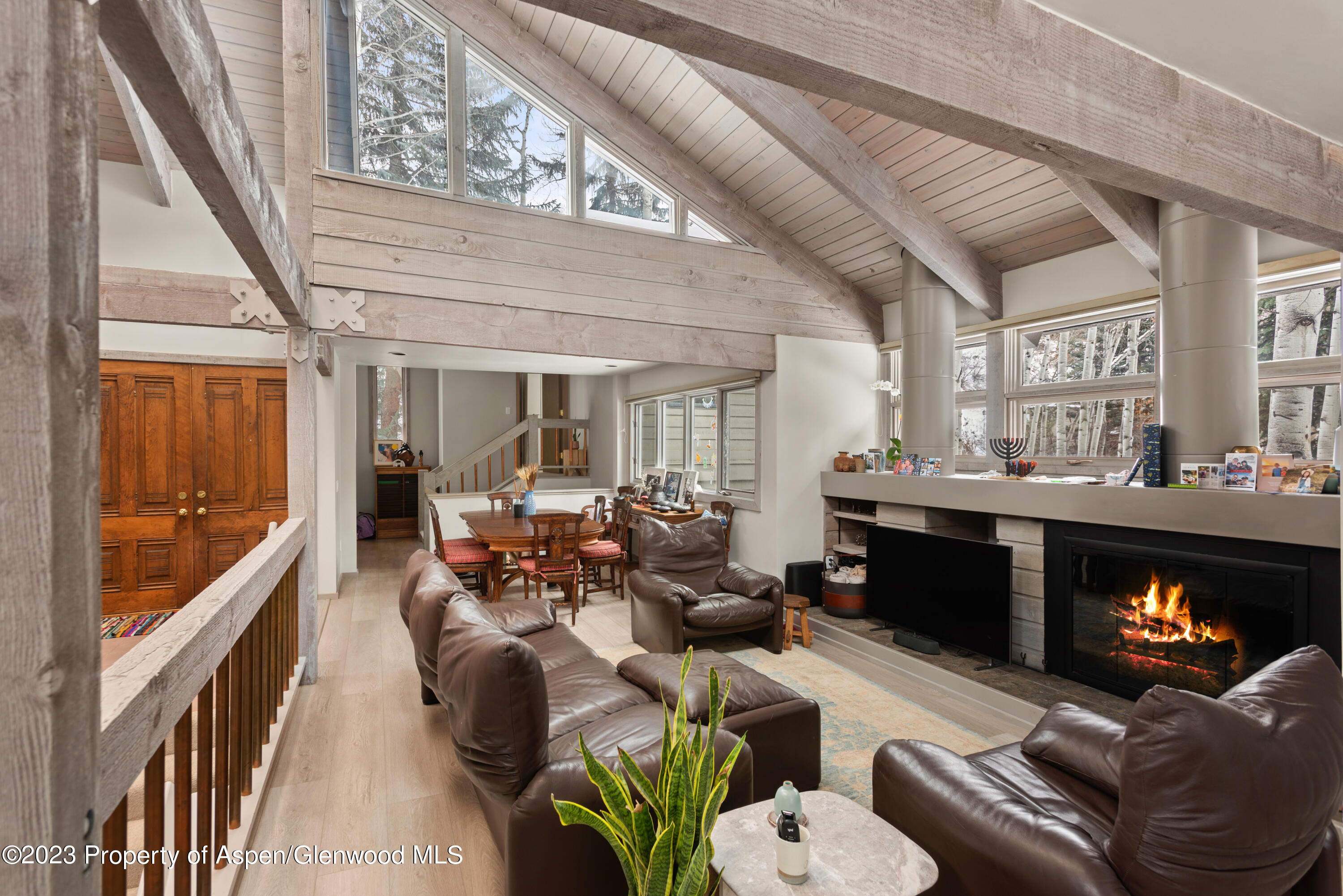 645 Sneaky Lane Aspen CO 81611