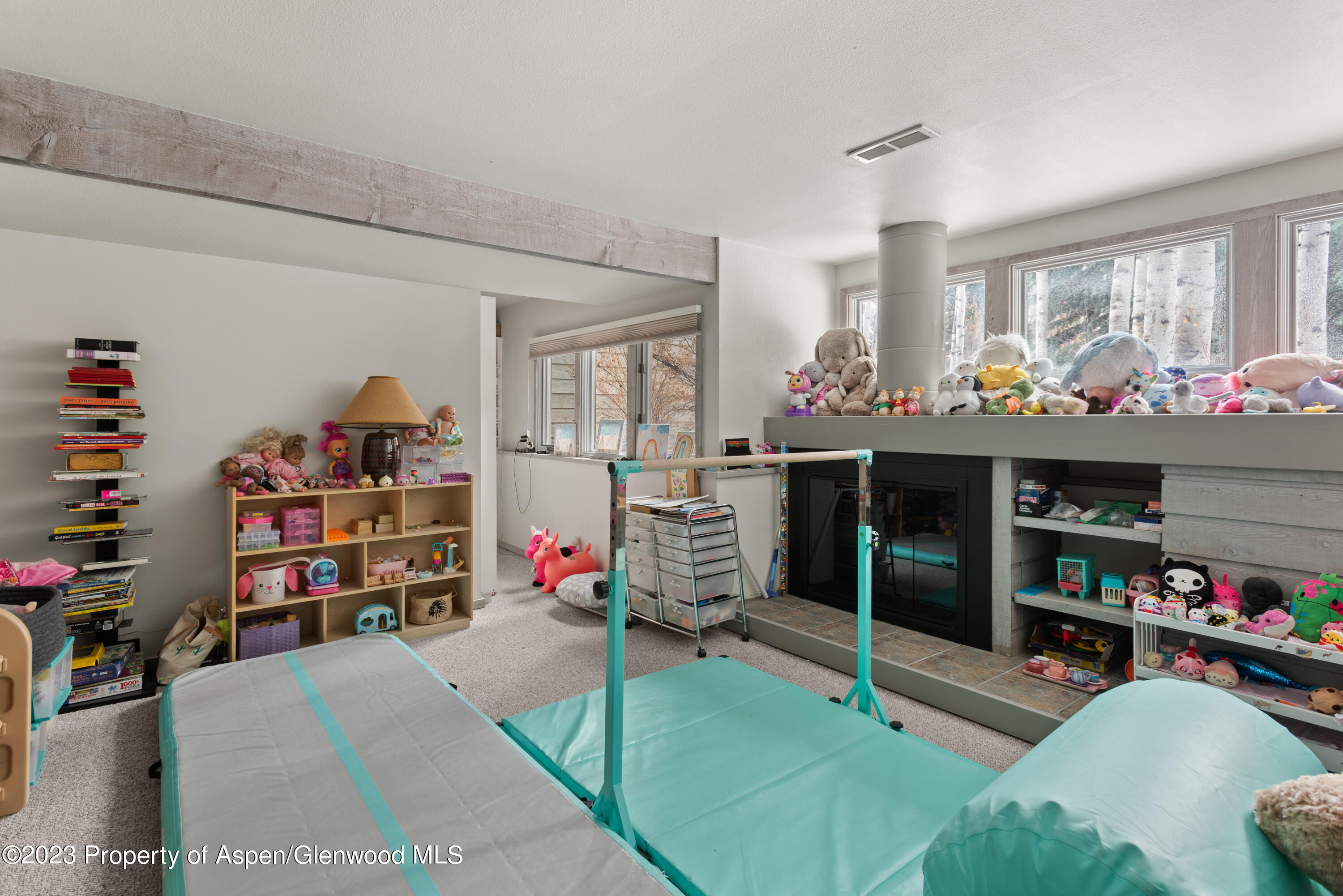 645 Sneaky Lane Aspen CO 81611