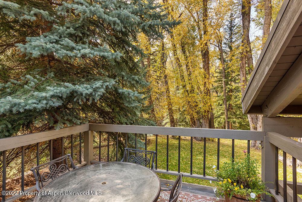 645 Sneaky Lane Aspen CO 81611