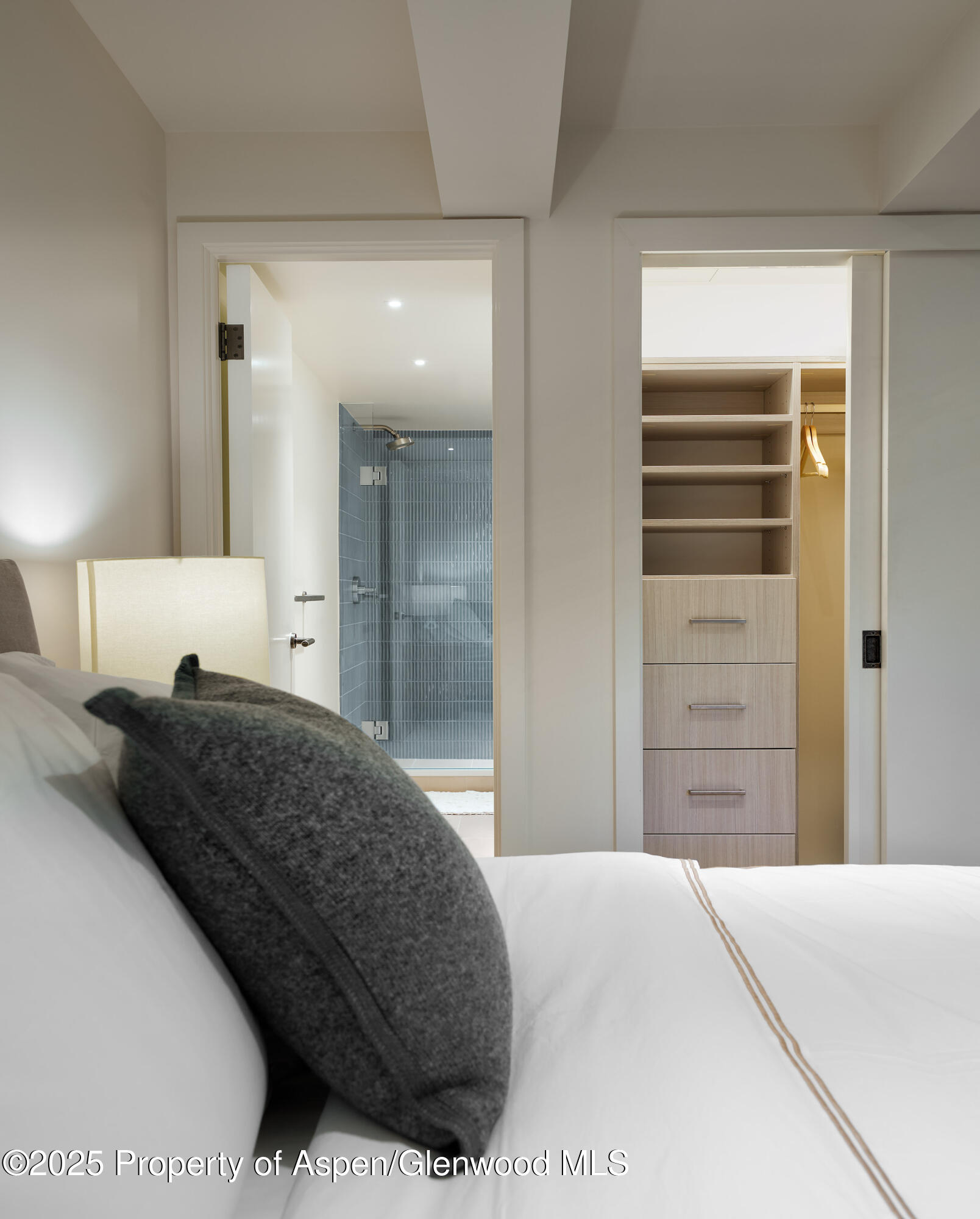 1039 E Cooper Avenue Aspen CO 81611