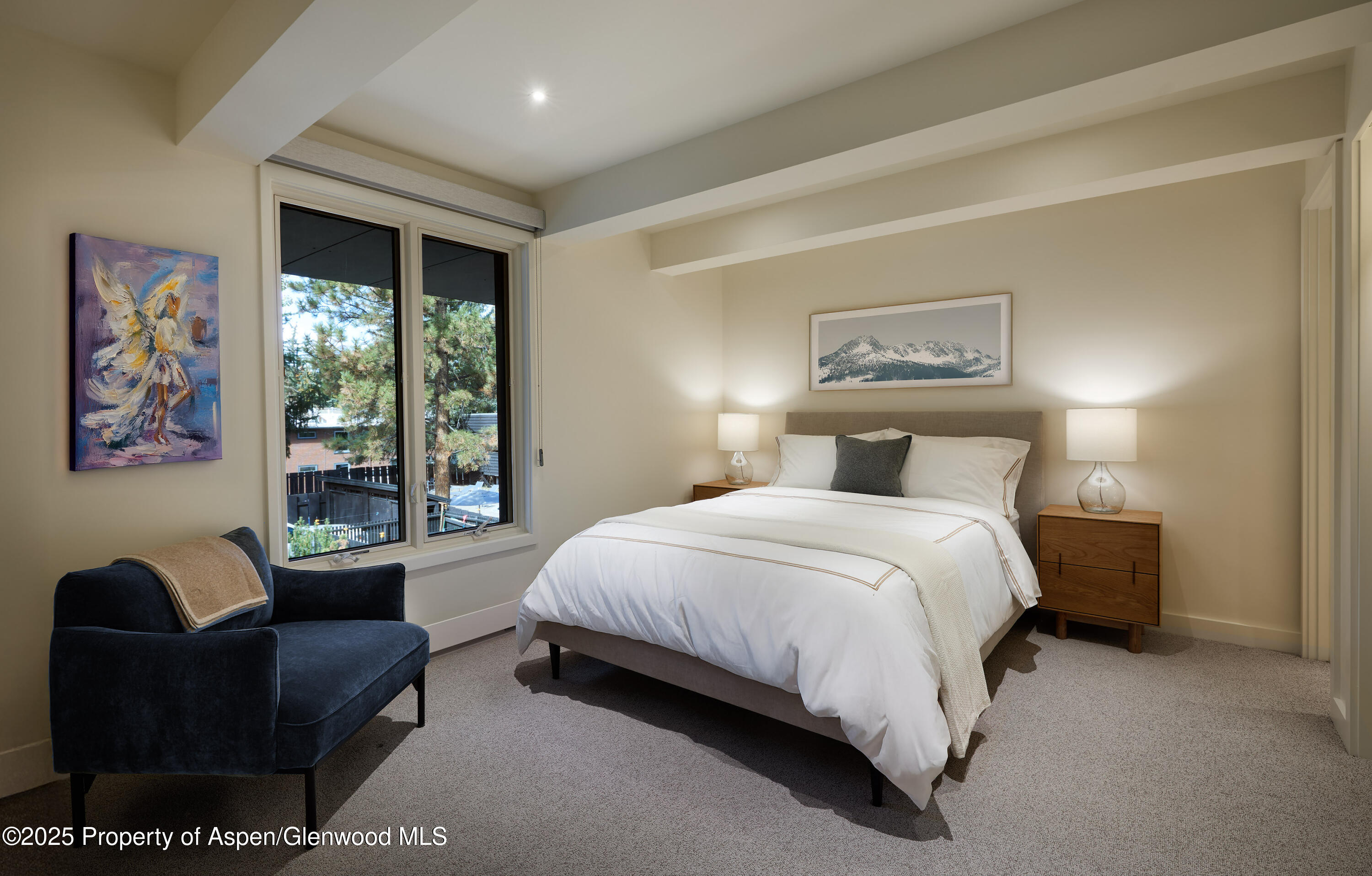 1039 E Cooper Avenue Aspen CO 81611