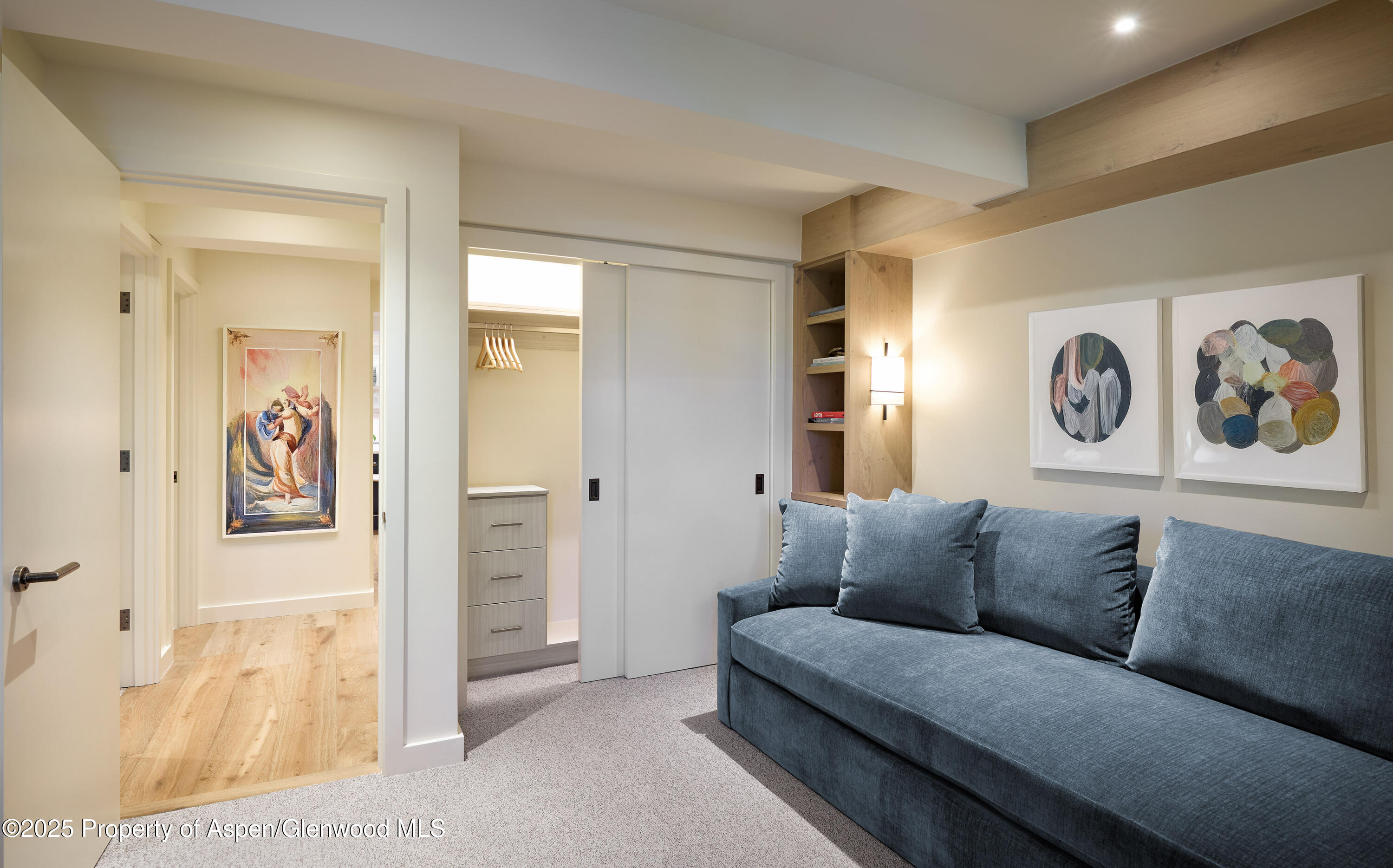 1039 E Cooper Avenue Aspen CO 81611