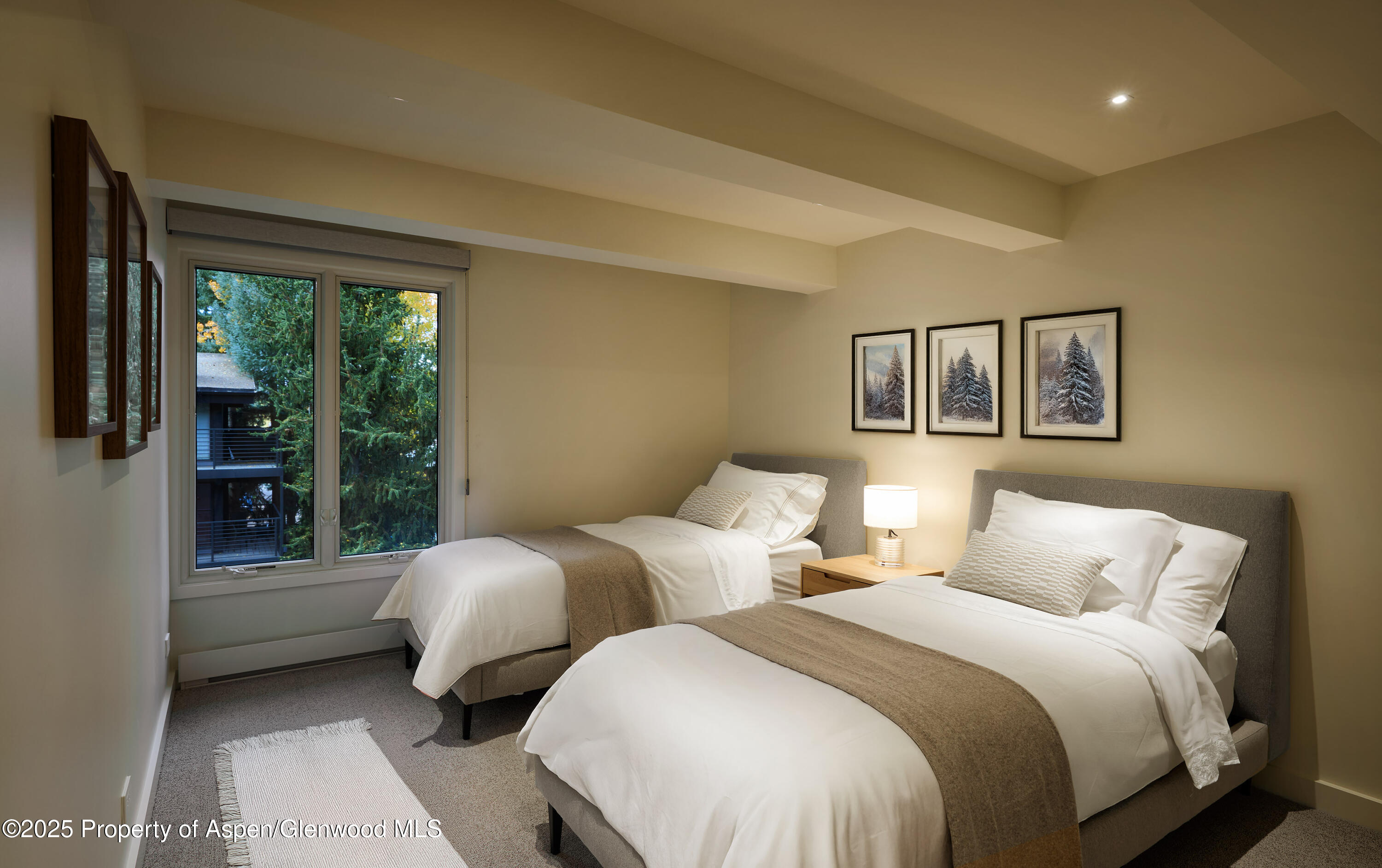 1039 E Cooper Avenue Aspen CO 81611