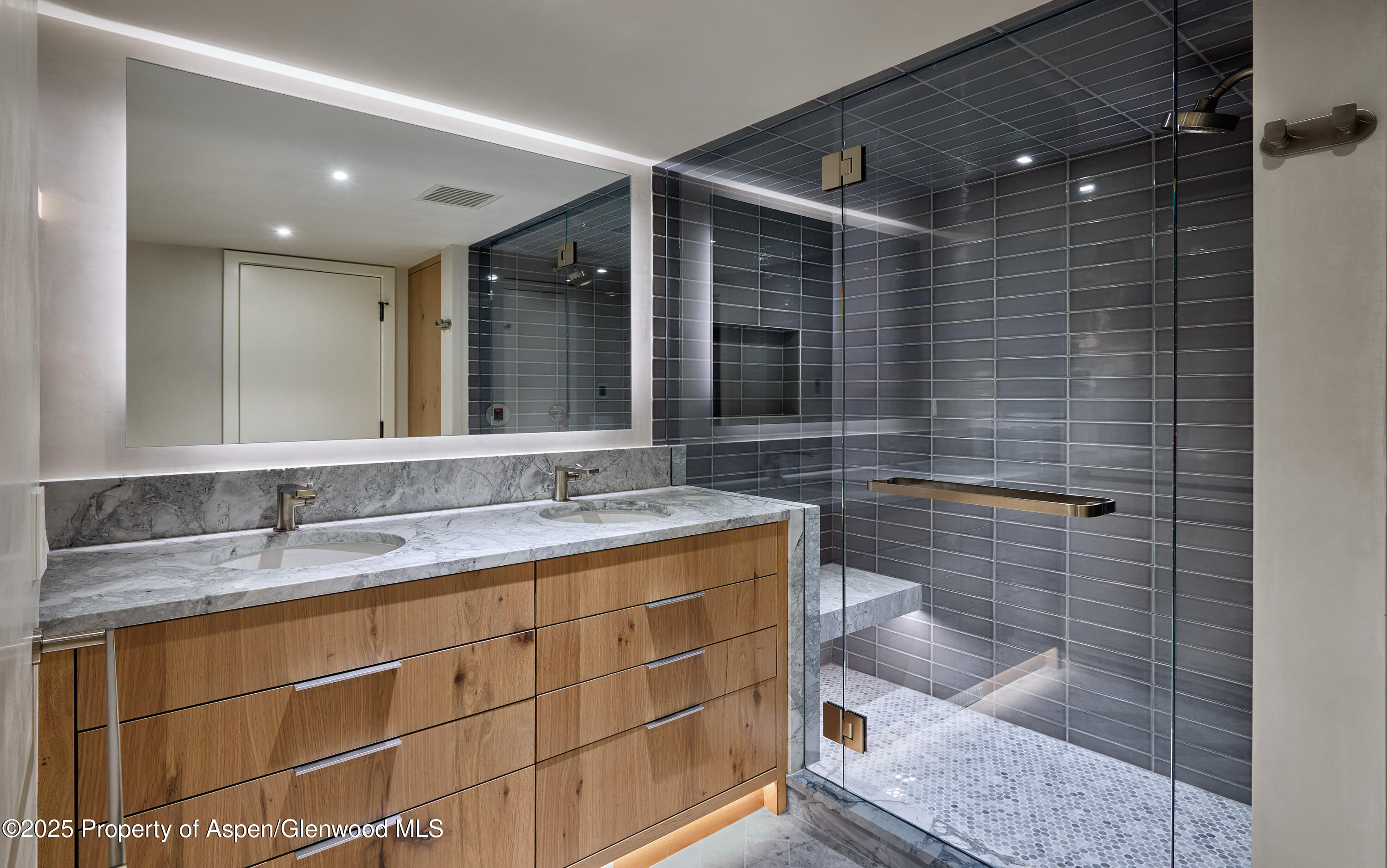 1039 E Cooper Avenue Aspen CO 81611