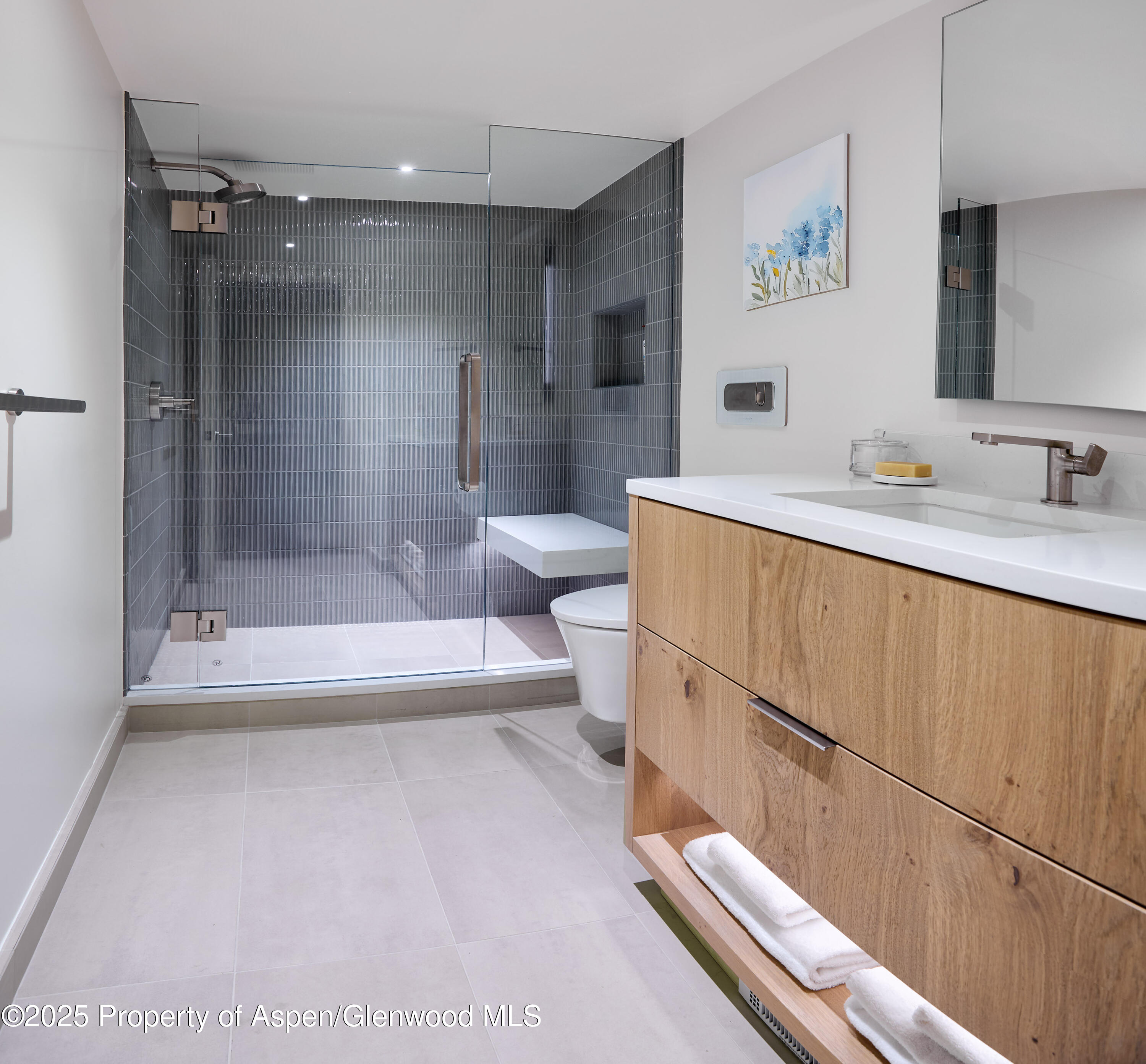 1039 E Cooper Avenue Aspen CO 81611