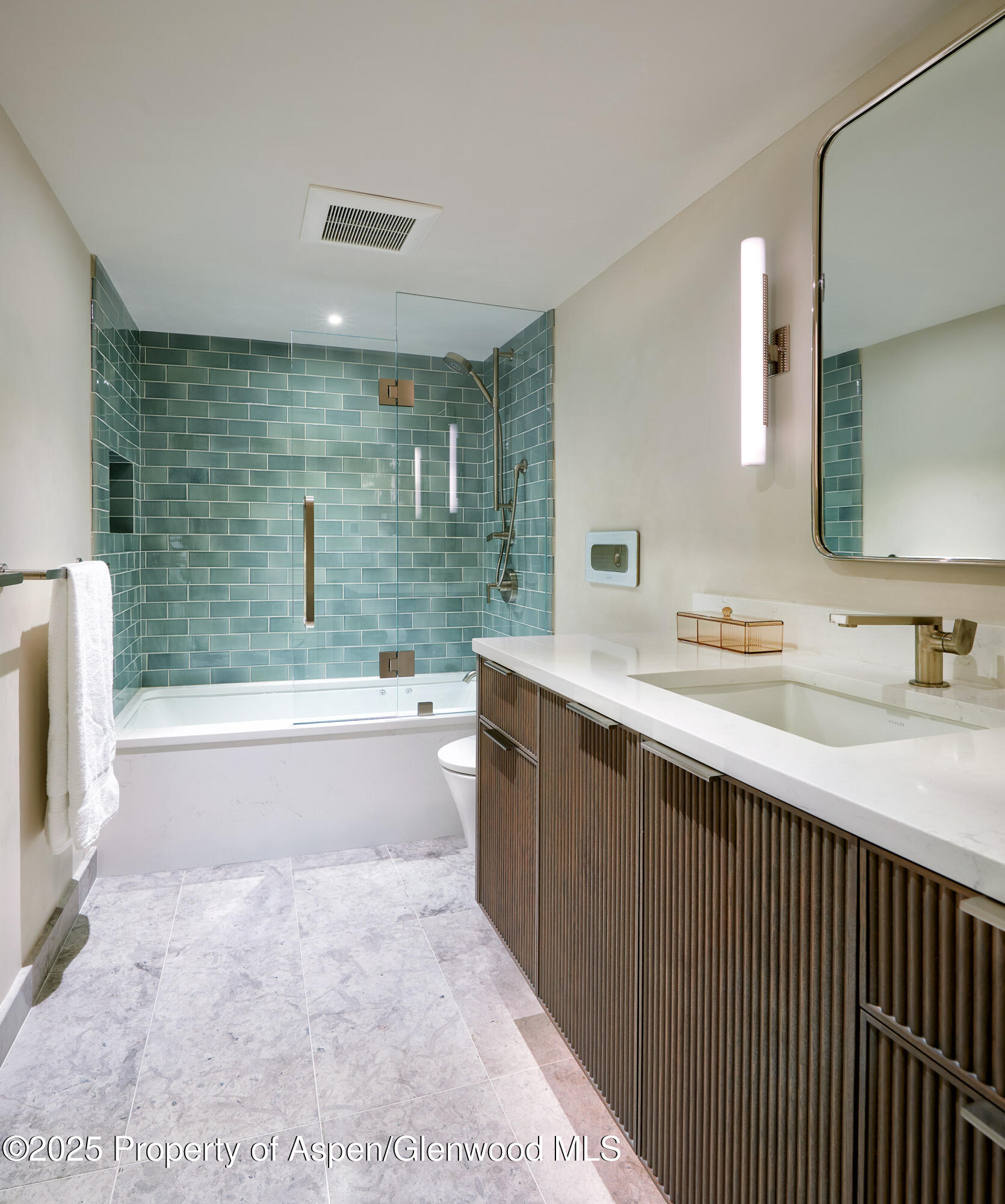 1039 E Cooper Avenue Aspen CO 81611