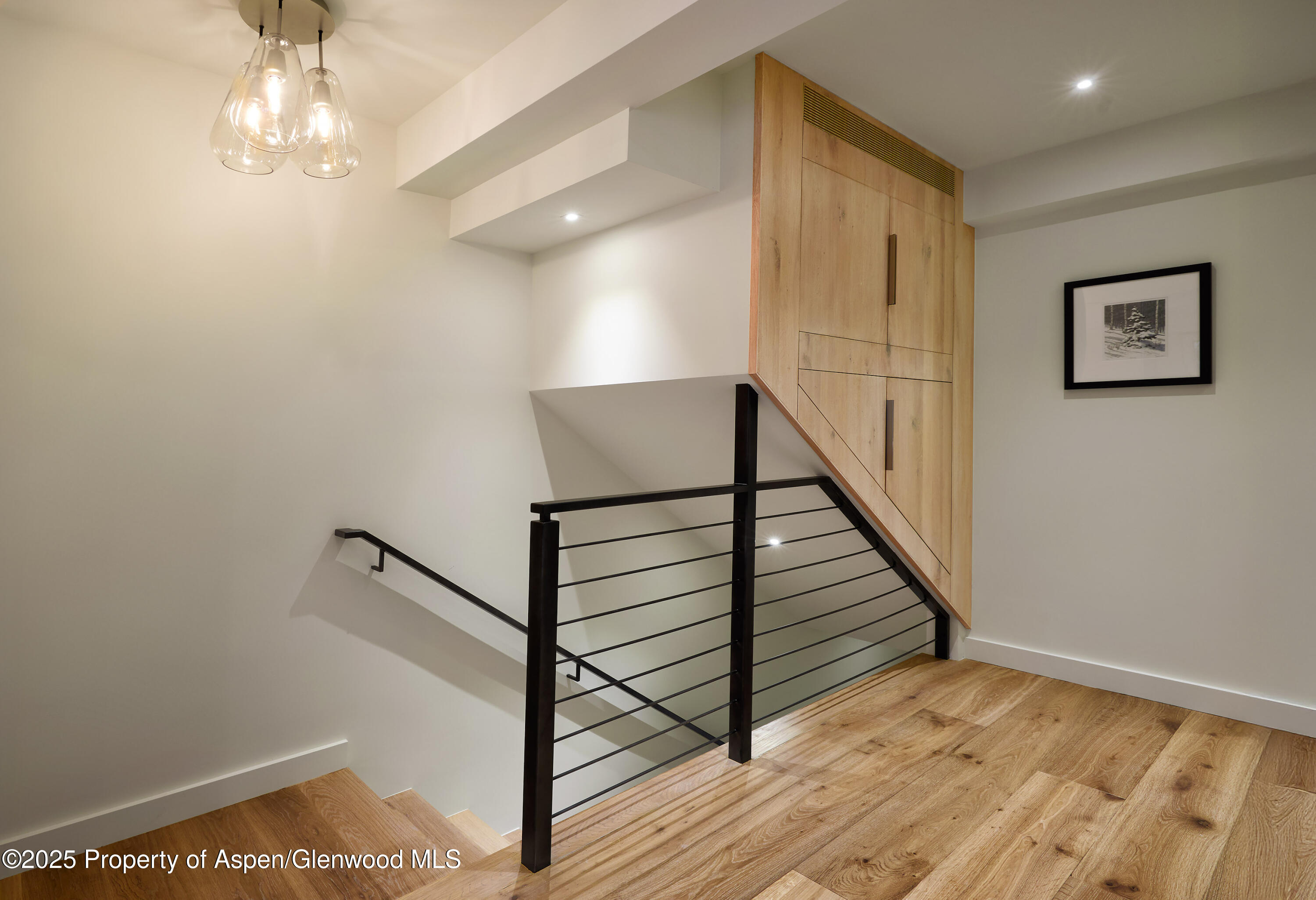 1039 E Cooper Avenue Aspen CO 81611