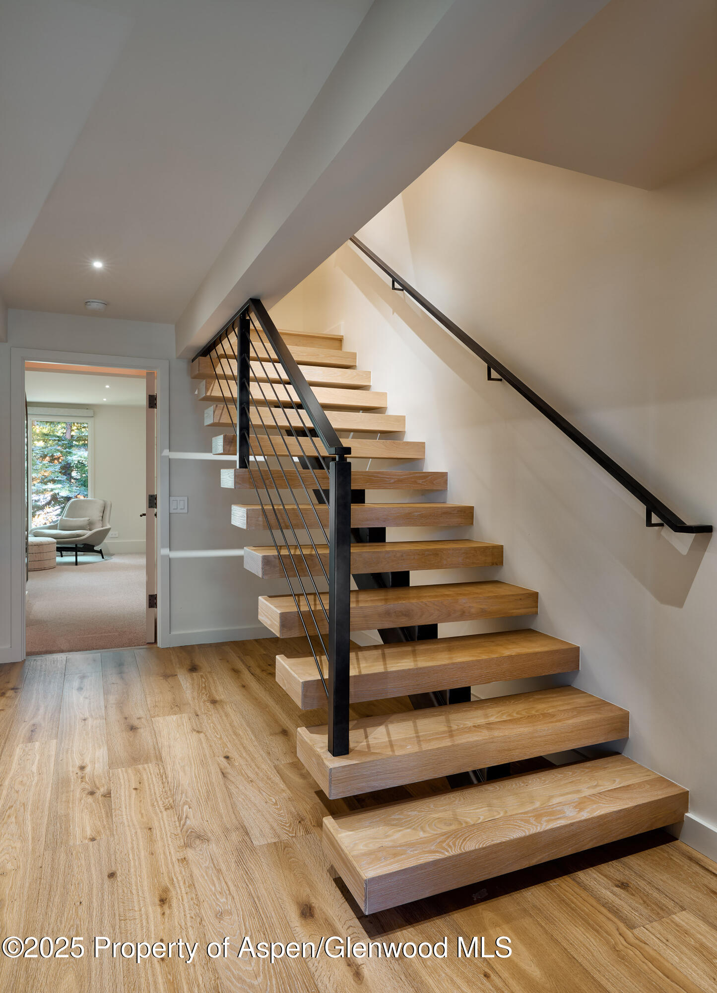 1039 E Cooper Avenue Aspen CO 81611