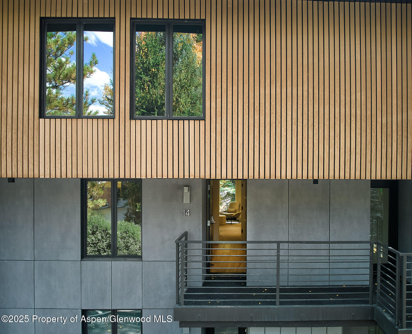 1039 E Cooper Avenue Aspen CO 81611