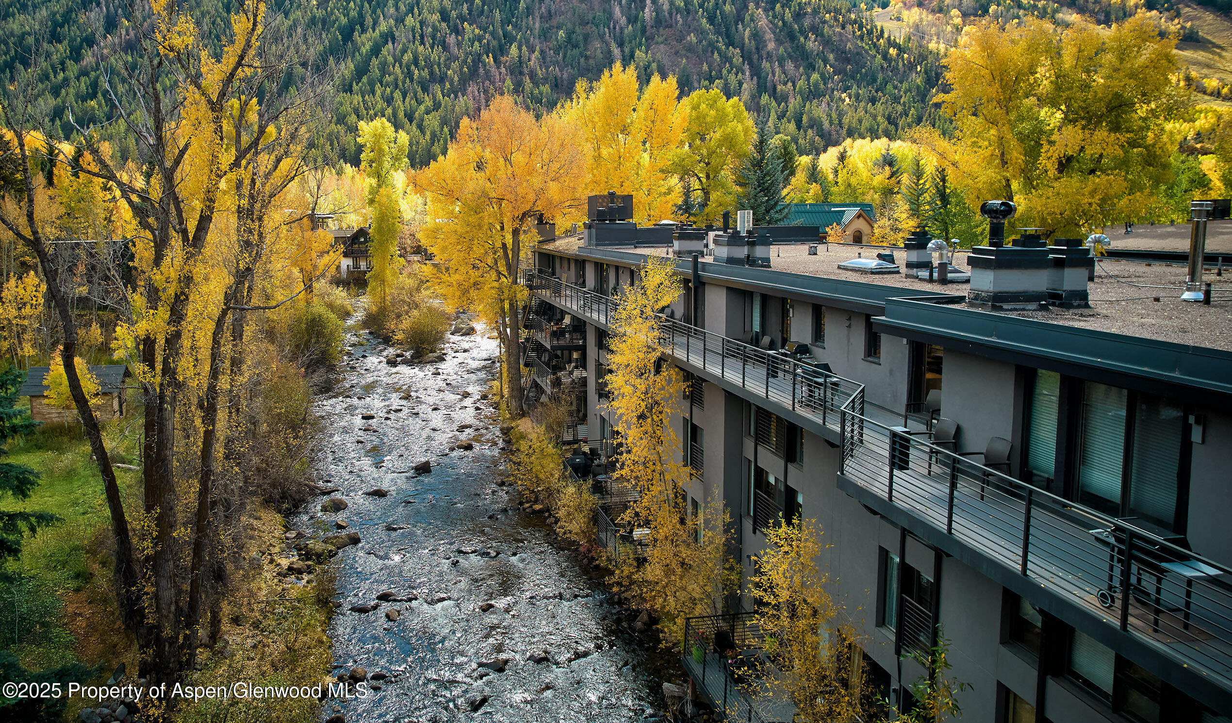 1039 E Cooper Avenue Aspen CO 81611