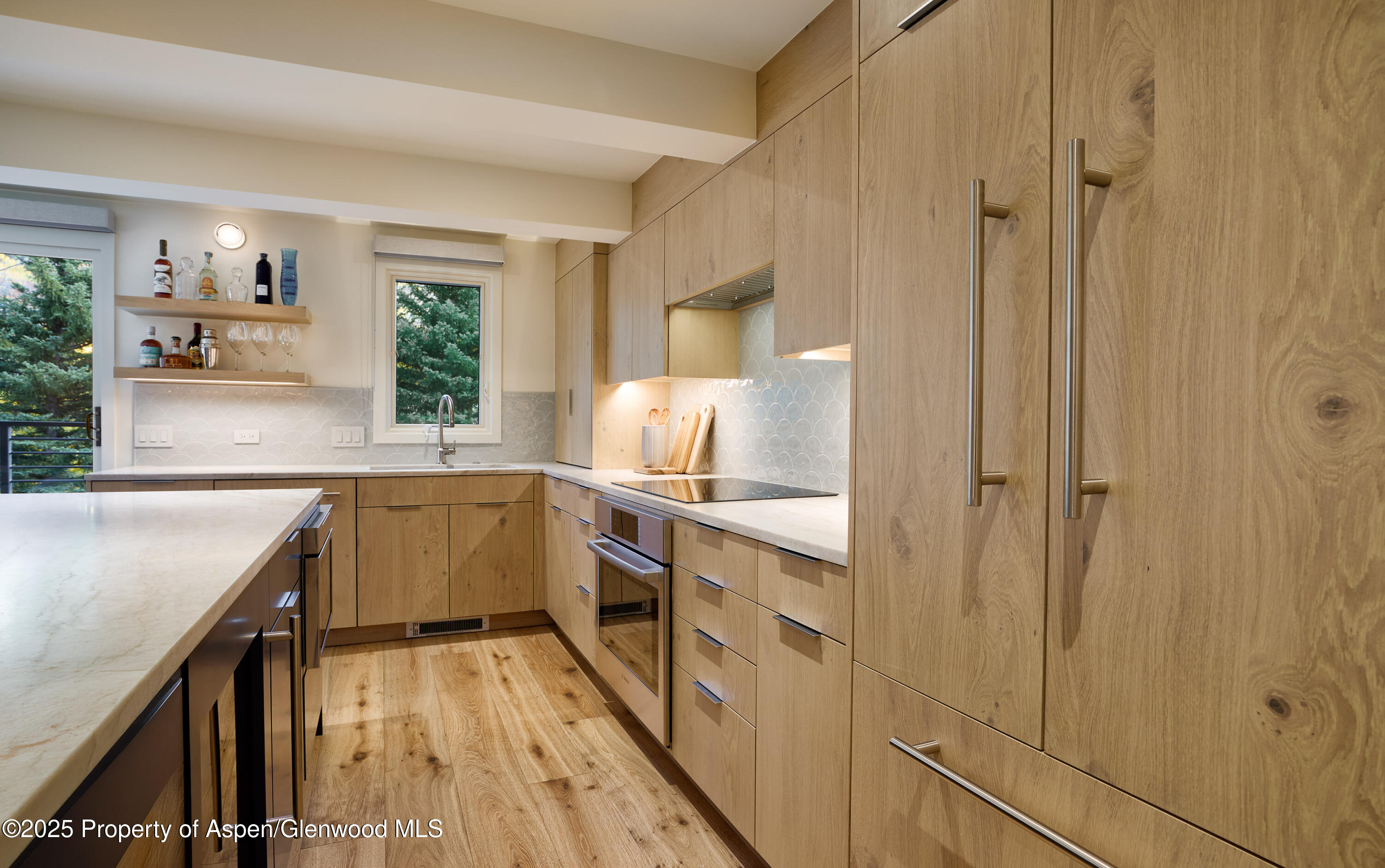 1039 E Cooper Avenue Aspen CO 81611