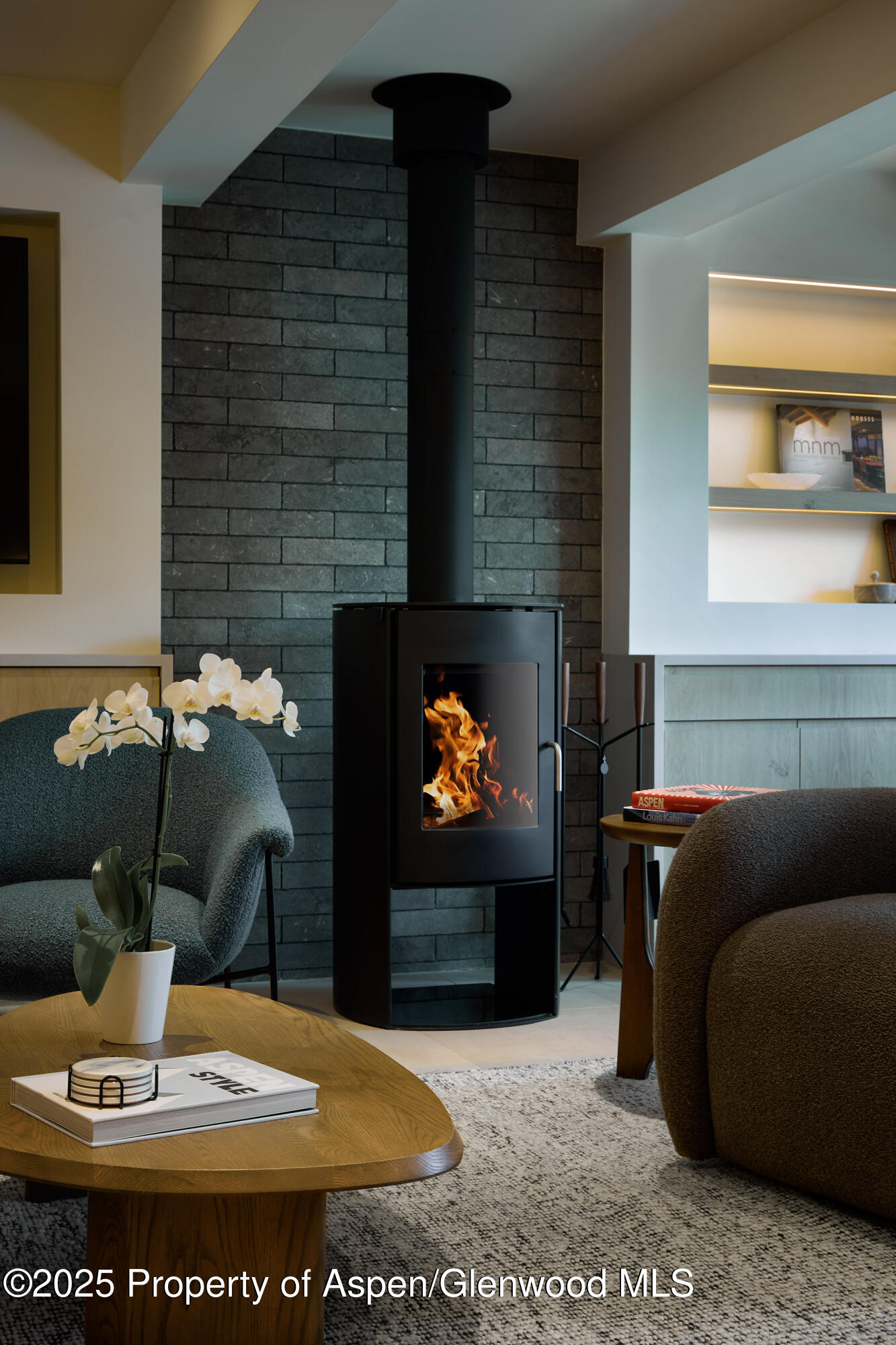 1039 E Cooper Avenue Aspen CO 81611