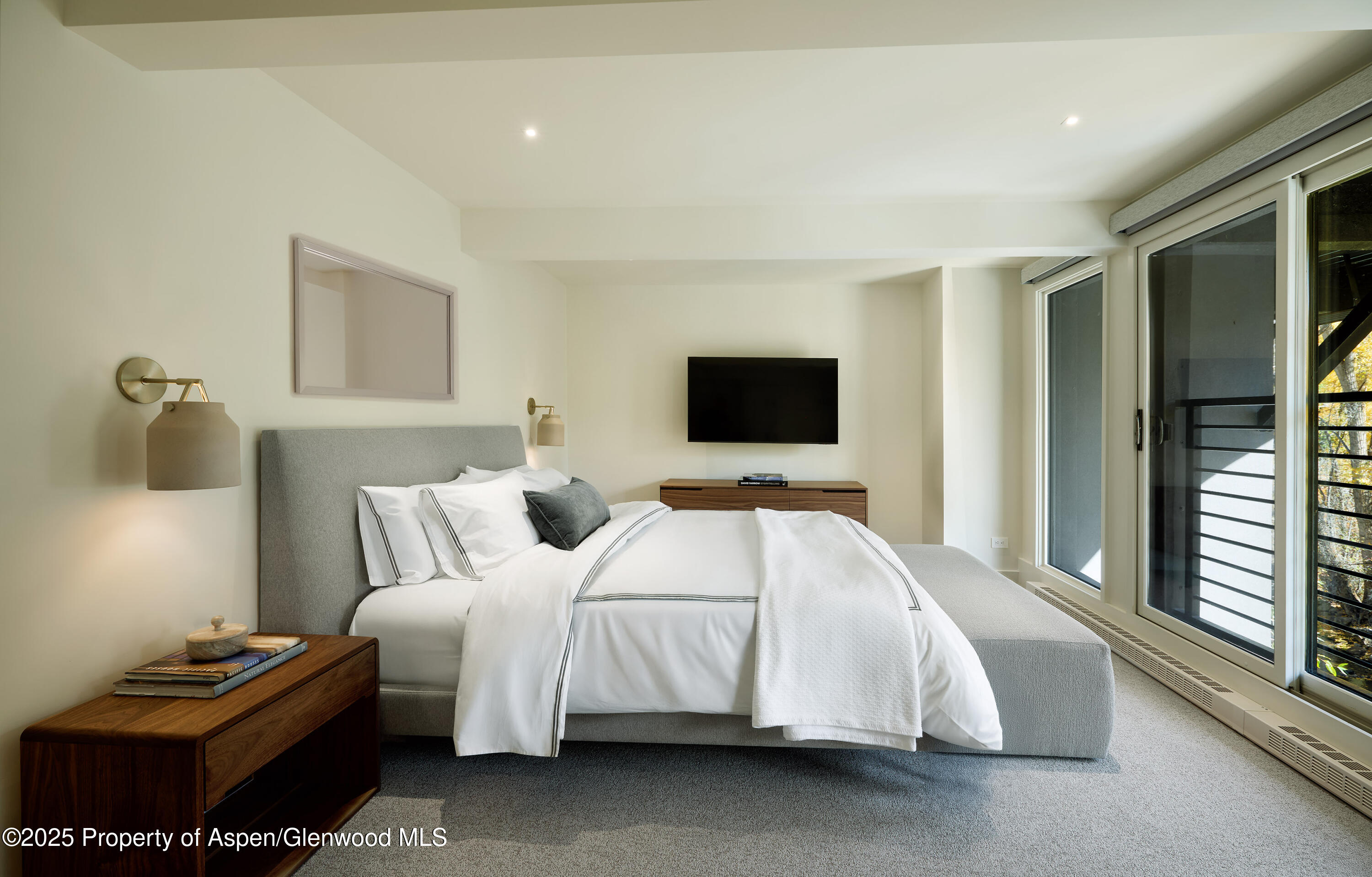 1039 E Cooper Avenue Aspen CO 81611