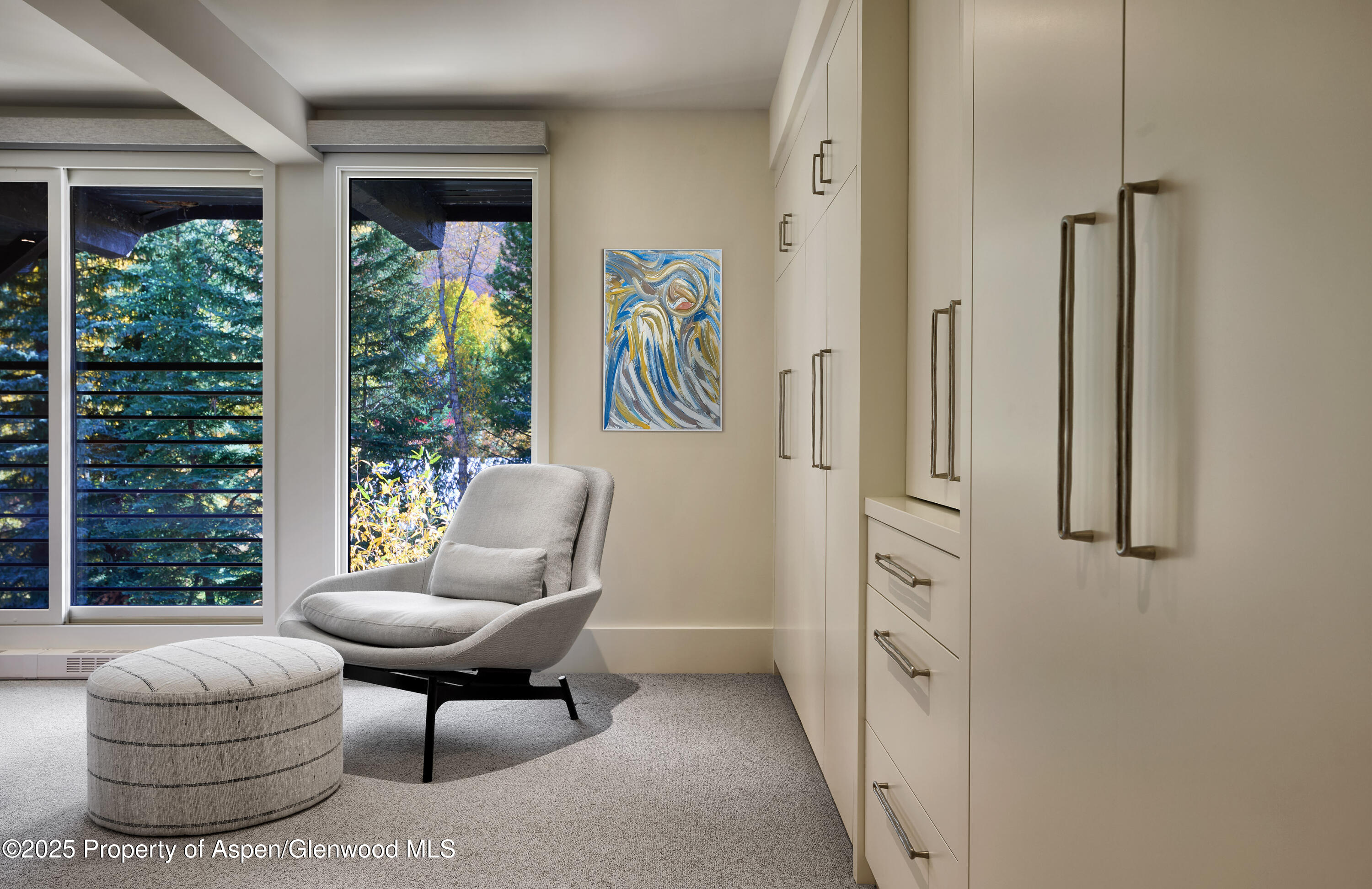 1039 E Cooper Avenue Aspen CO 81611