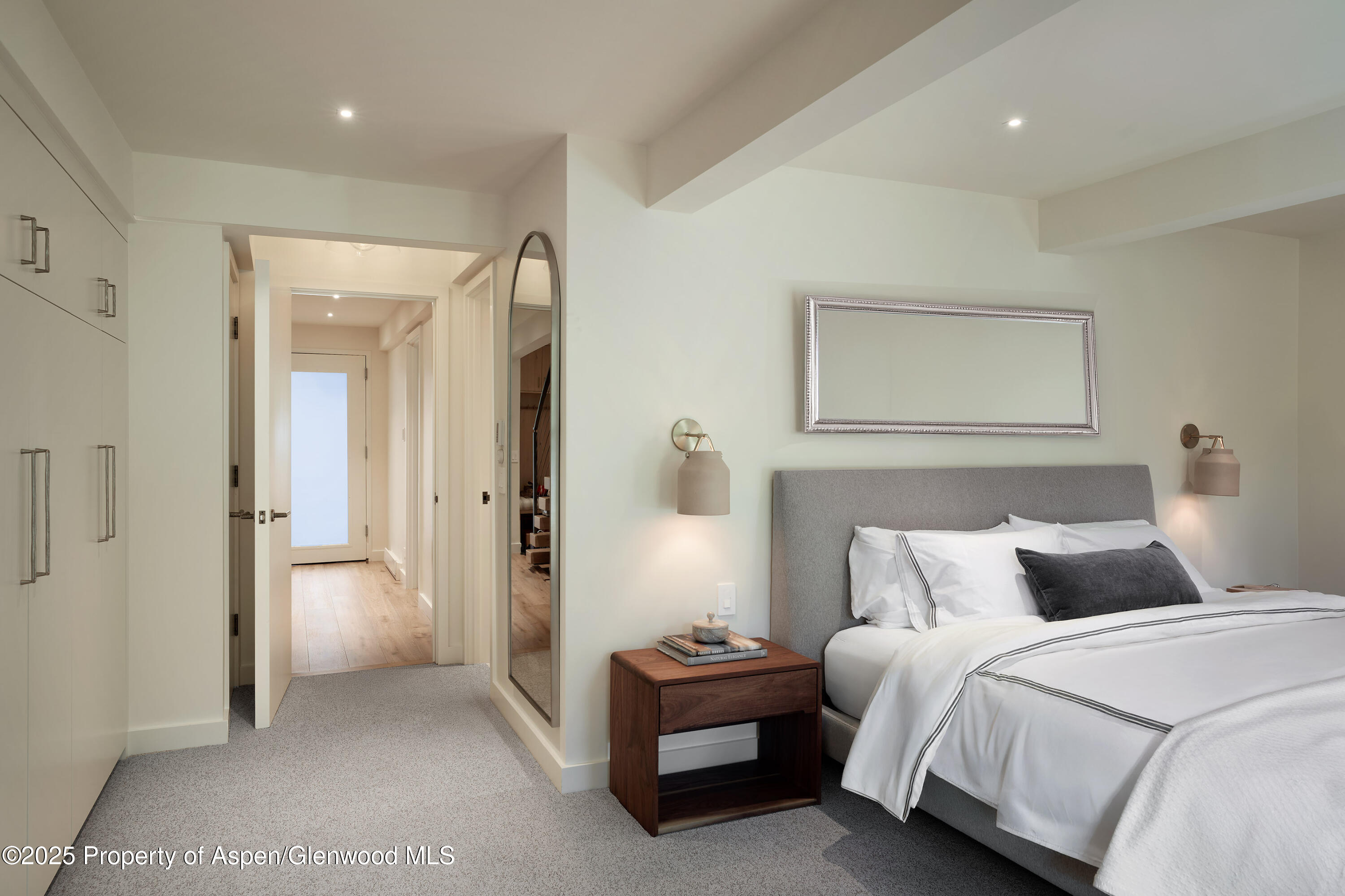 1039 E Cooper Avenue Aspen CO 81611