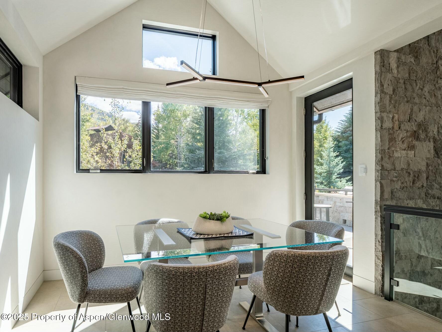 1154 E Cooper Avenue Aspen CO 81611