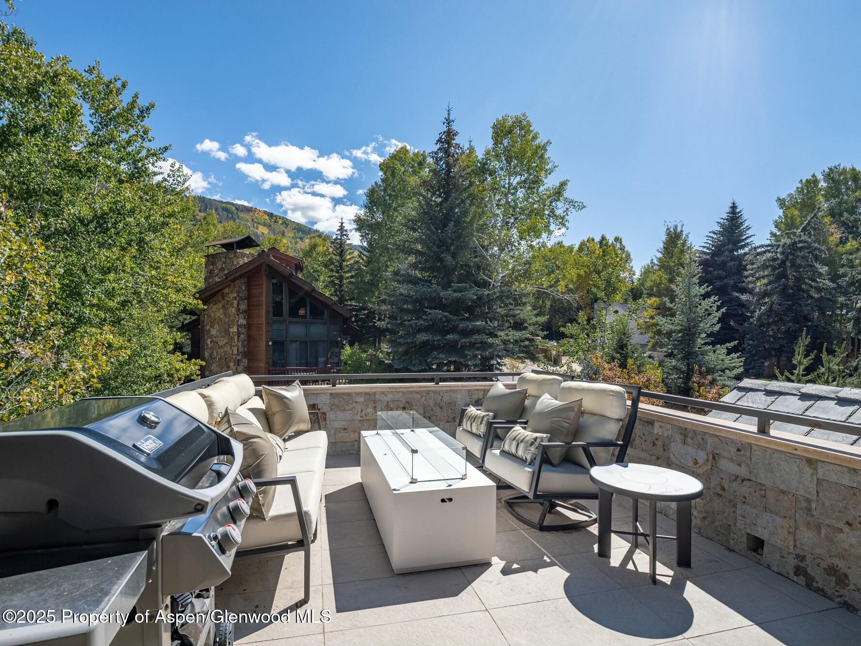 1154 E Cooper Avenue Aspen CO 81611