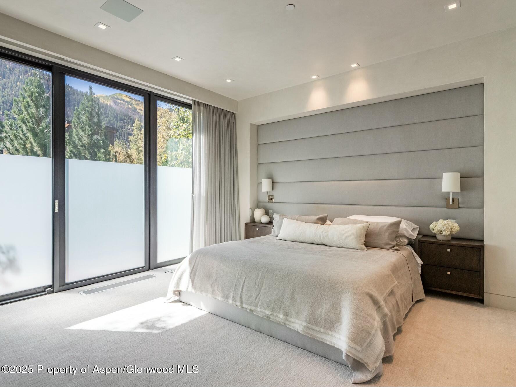 1154 E Cooper Avenue Aspen CO 81611