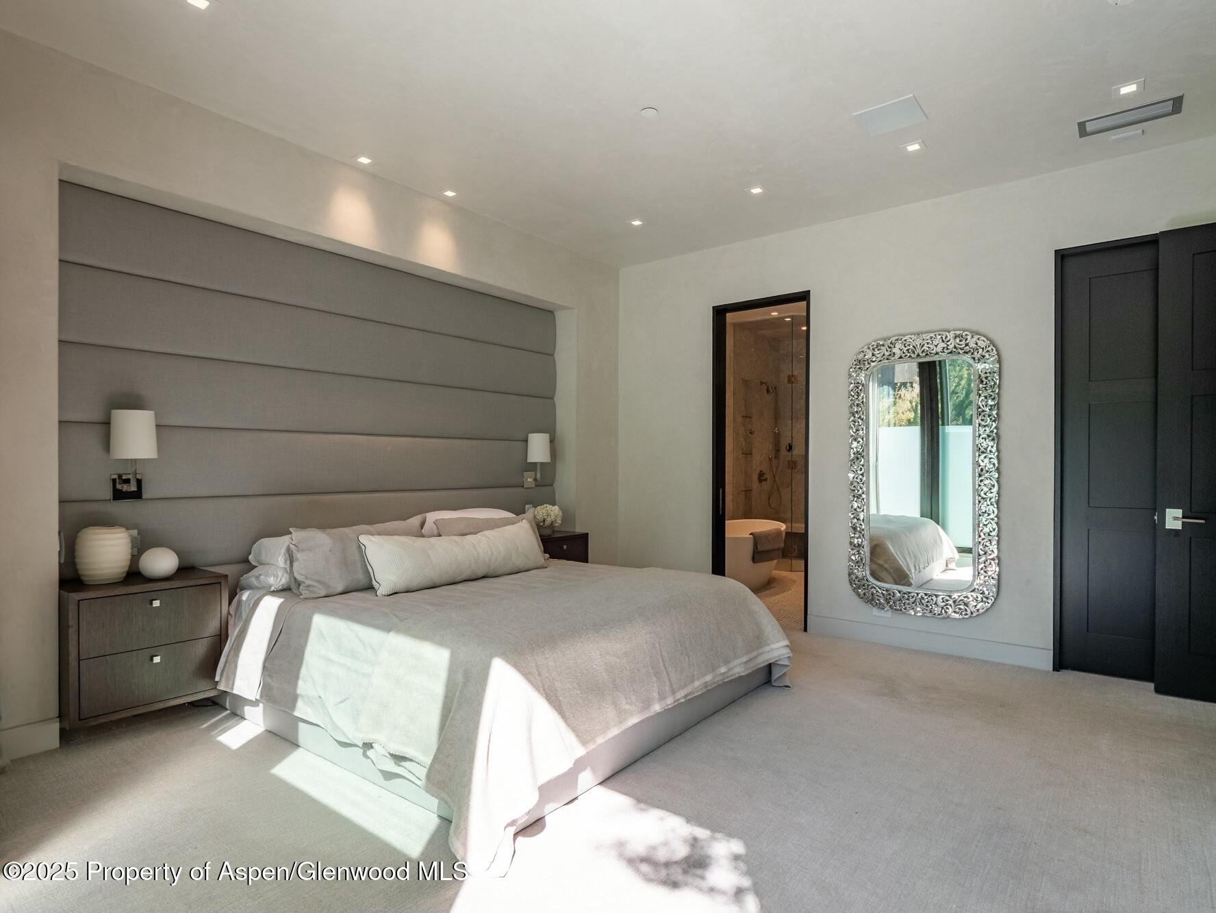 1154 E Cooper Avenue Aspen CO 81611