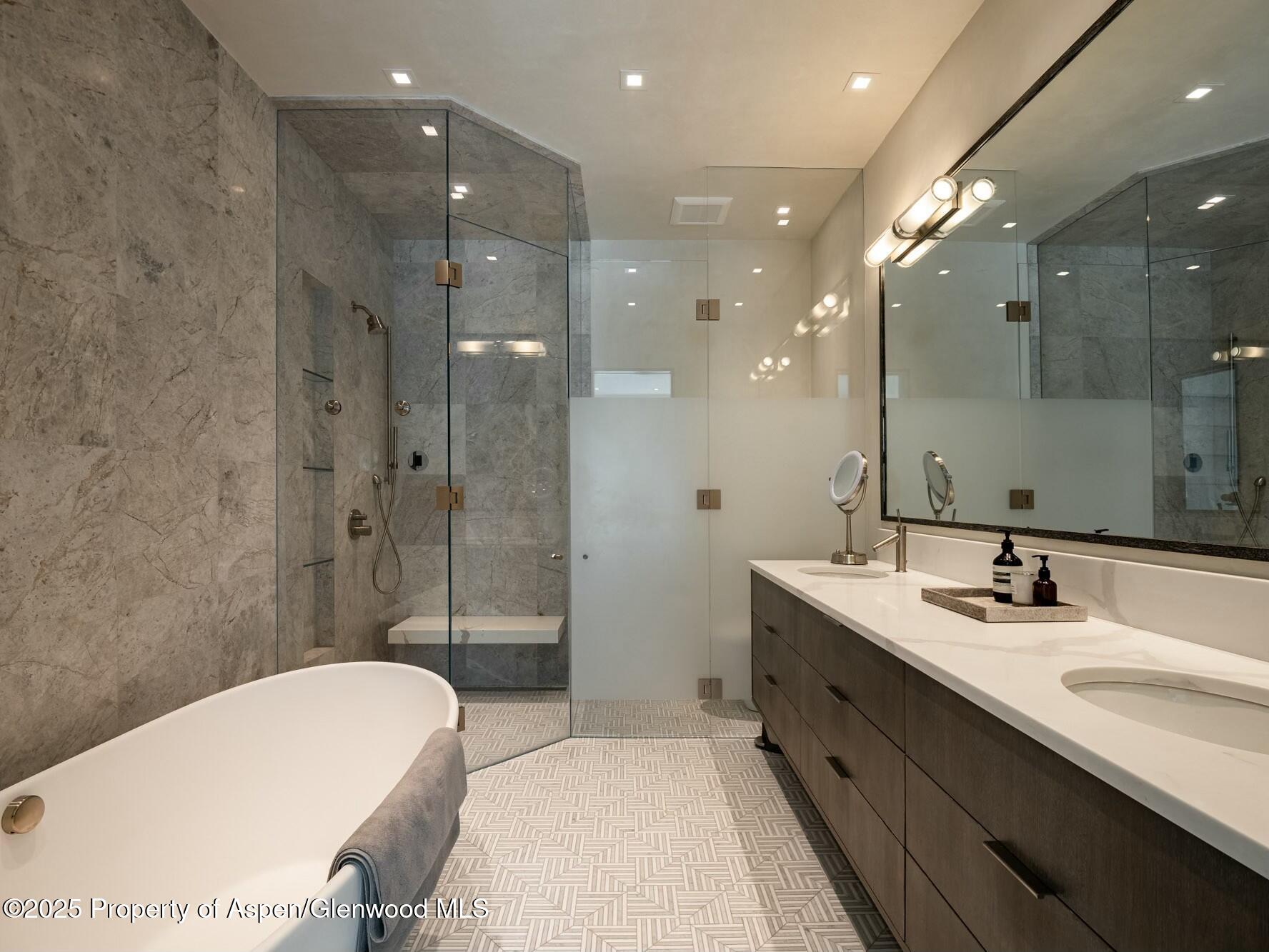 1154 E Cooper Avenue Aspen CO 81611