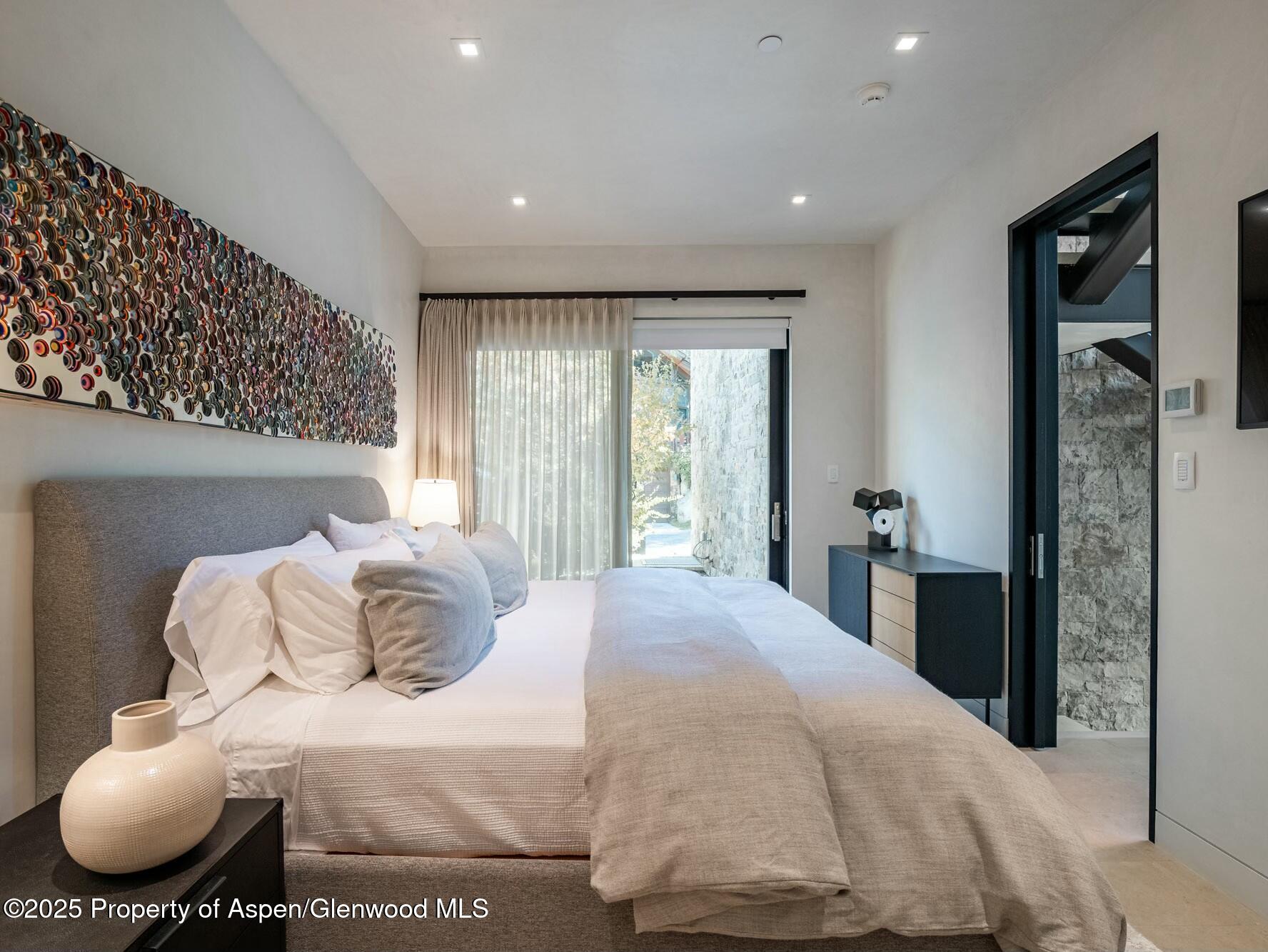 1154 E Cooper Avenue Aspen CO 81611