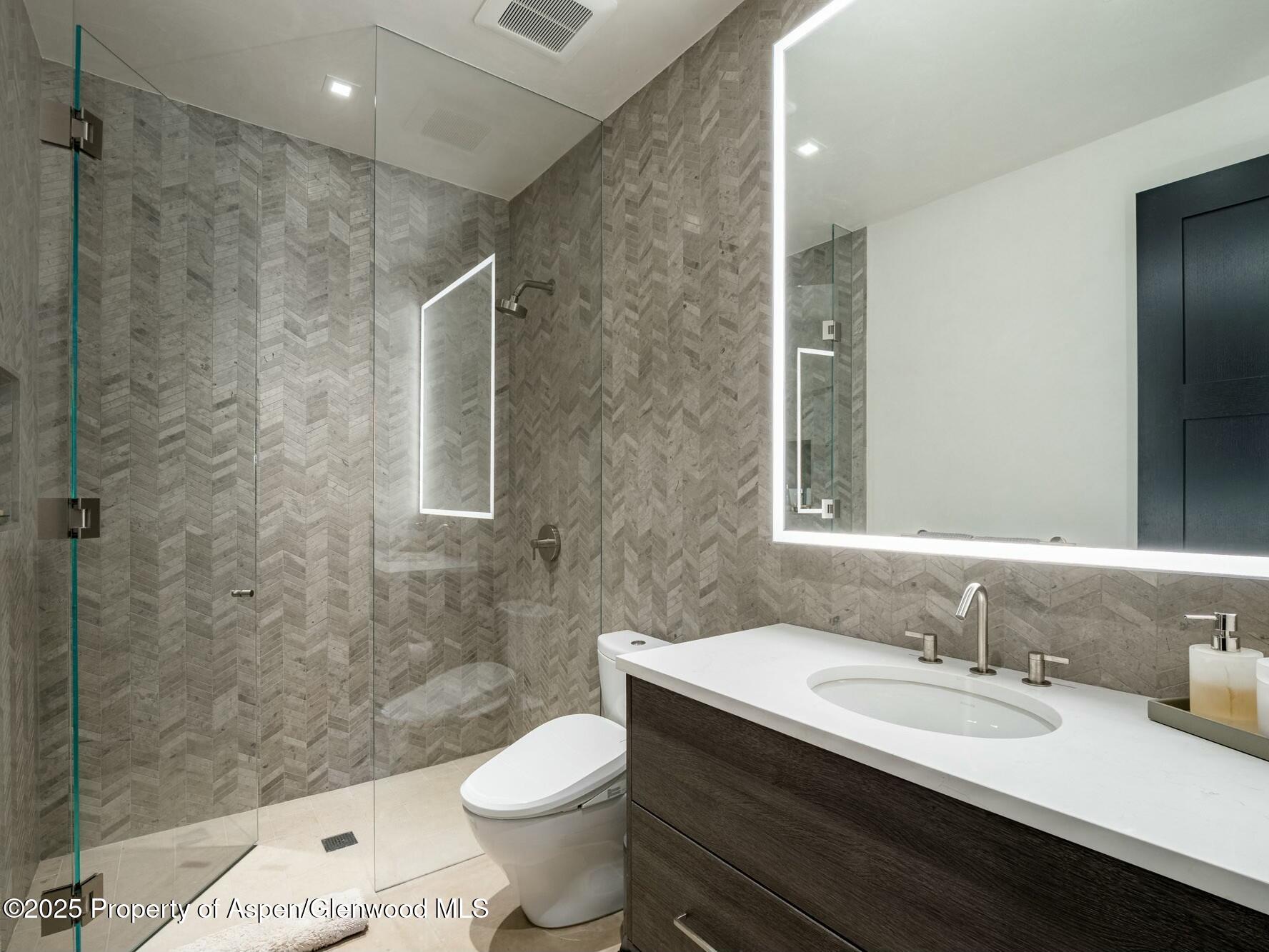 1154 E Cooper Avenue Aspen CO 81611