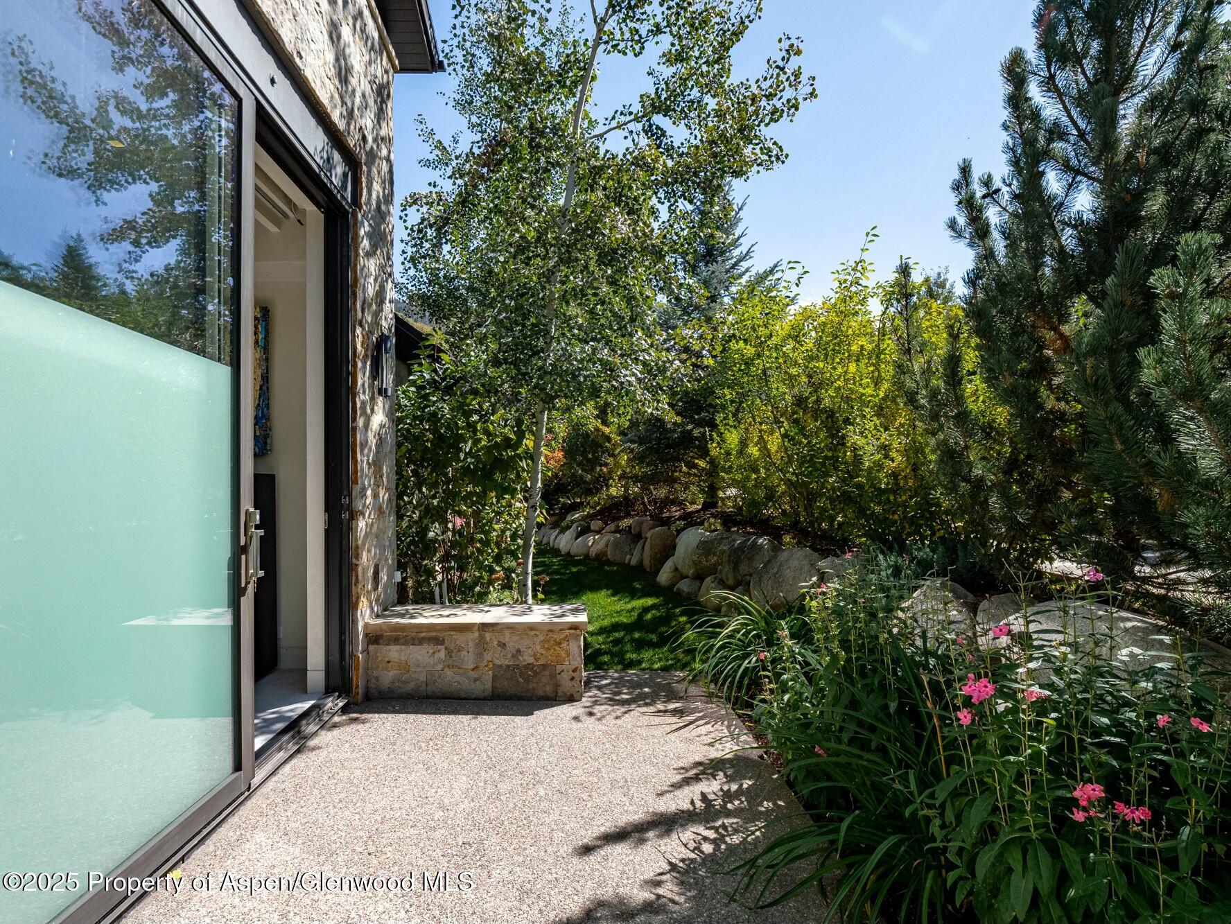 1154 E Cooper Avenue Aspen CO 81611