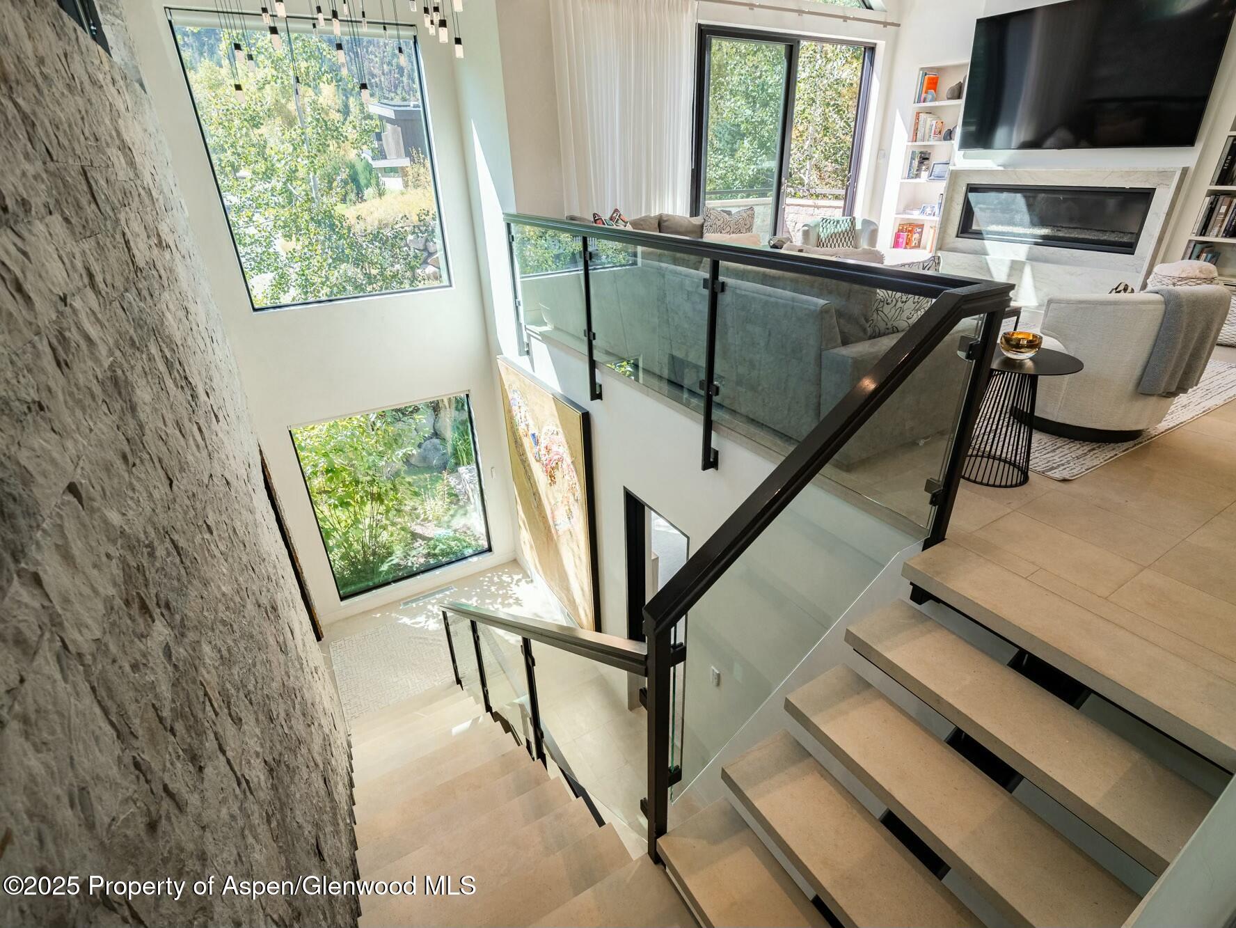 1154 E Cooper Avenue Aspen CO 81611