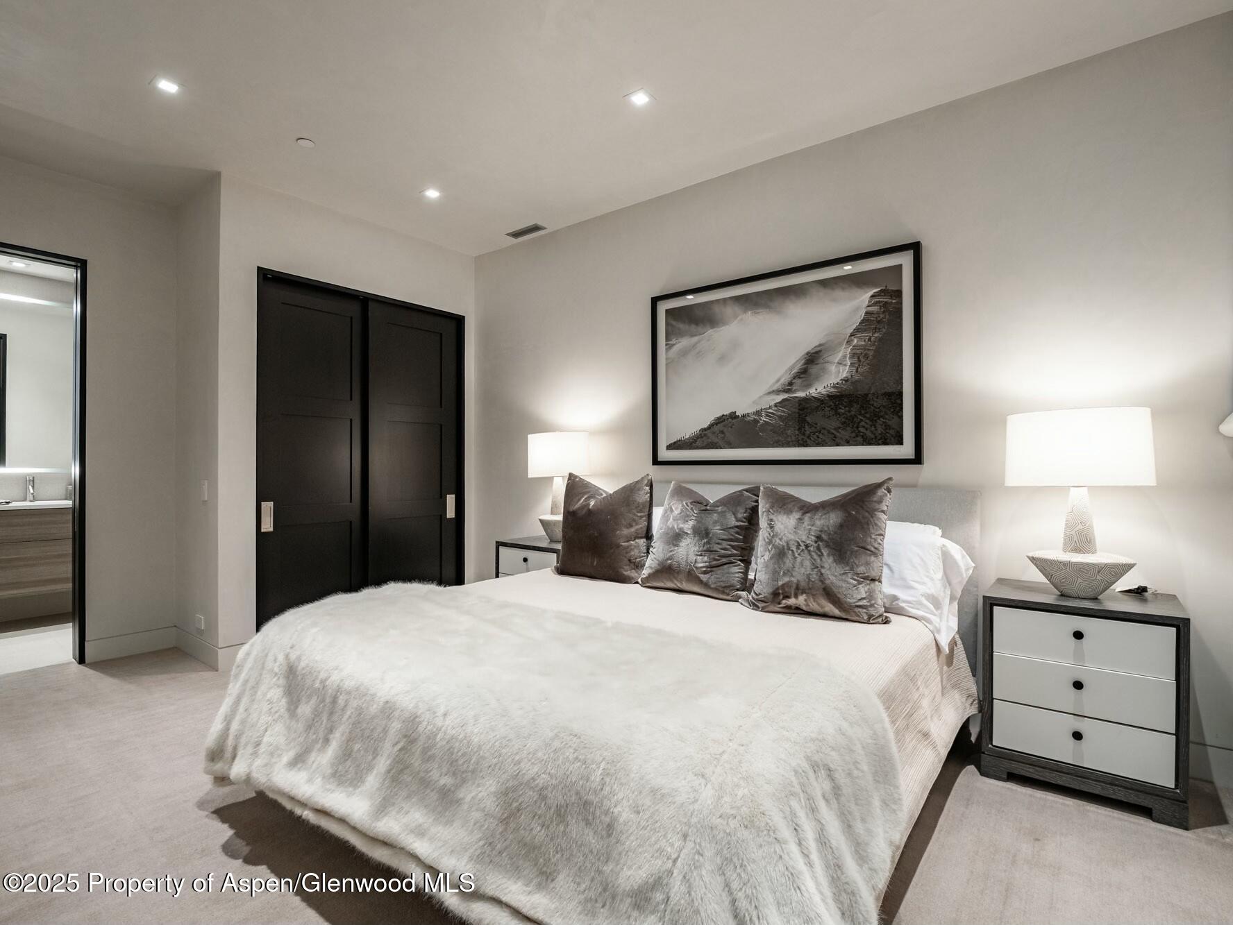 1154 E Cooper Avenue Aspen CO 81611