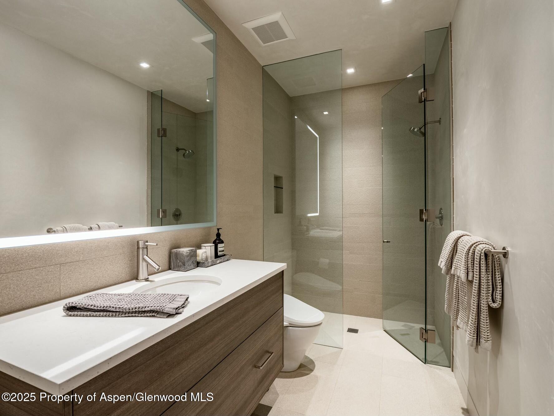 1154 E Cooper Avenue Aspen CO 81611