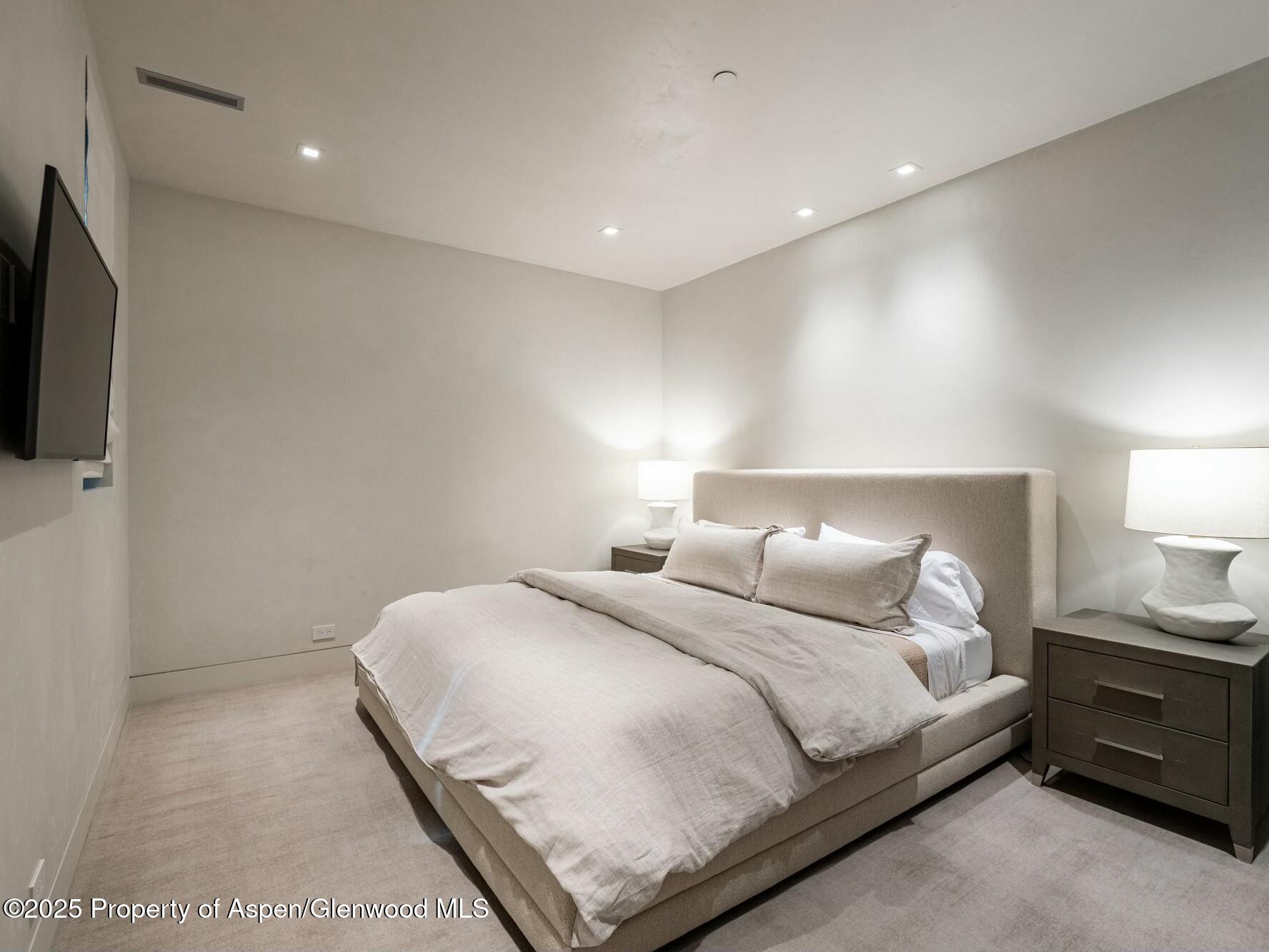 1154 E Cooper Avenue Aspen CO 81611