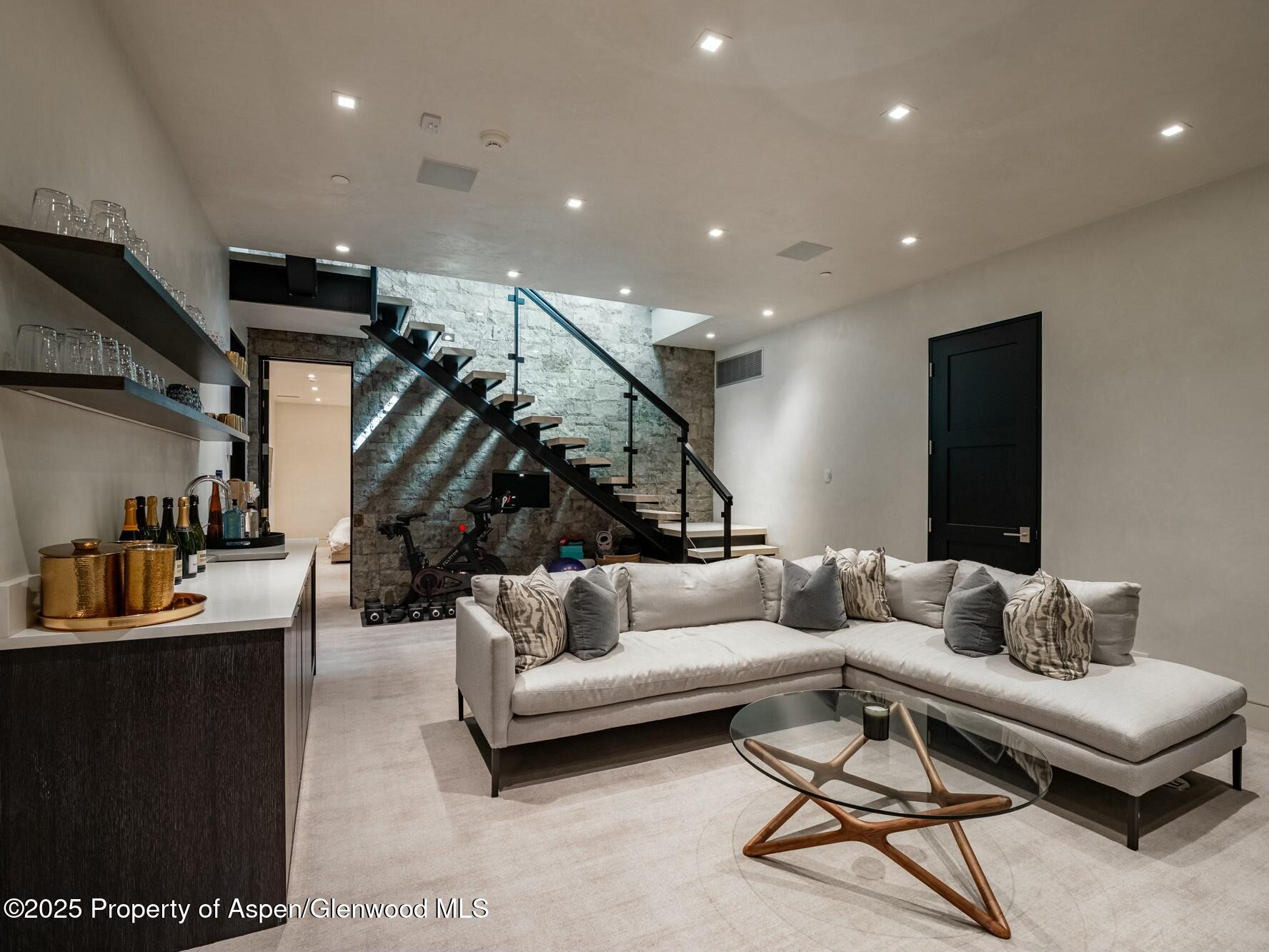 1154 E Cooper Avenue Aspen CO 81611